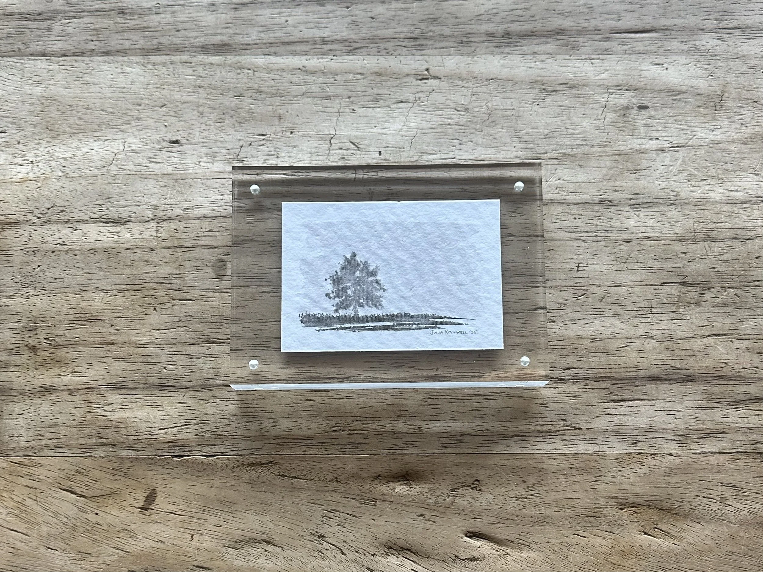 Julia Rockwell Art Mini.jpeg