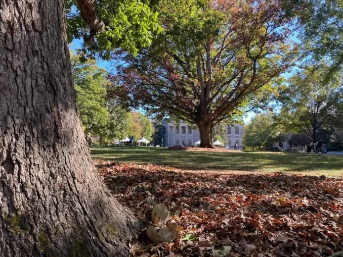 Cold fall temperatures have students donning sweaters, sipping hot drinks