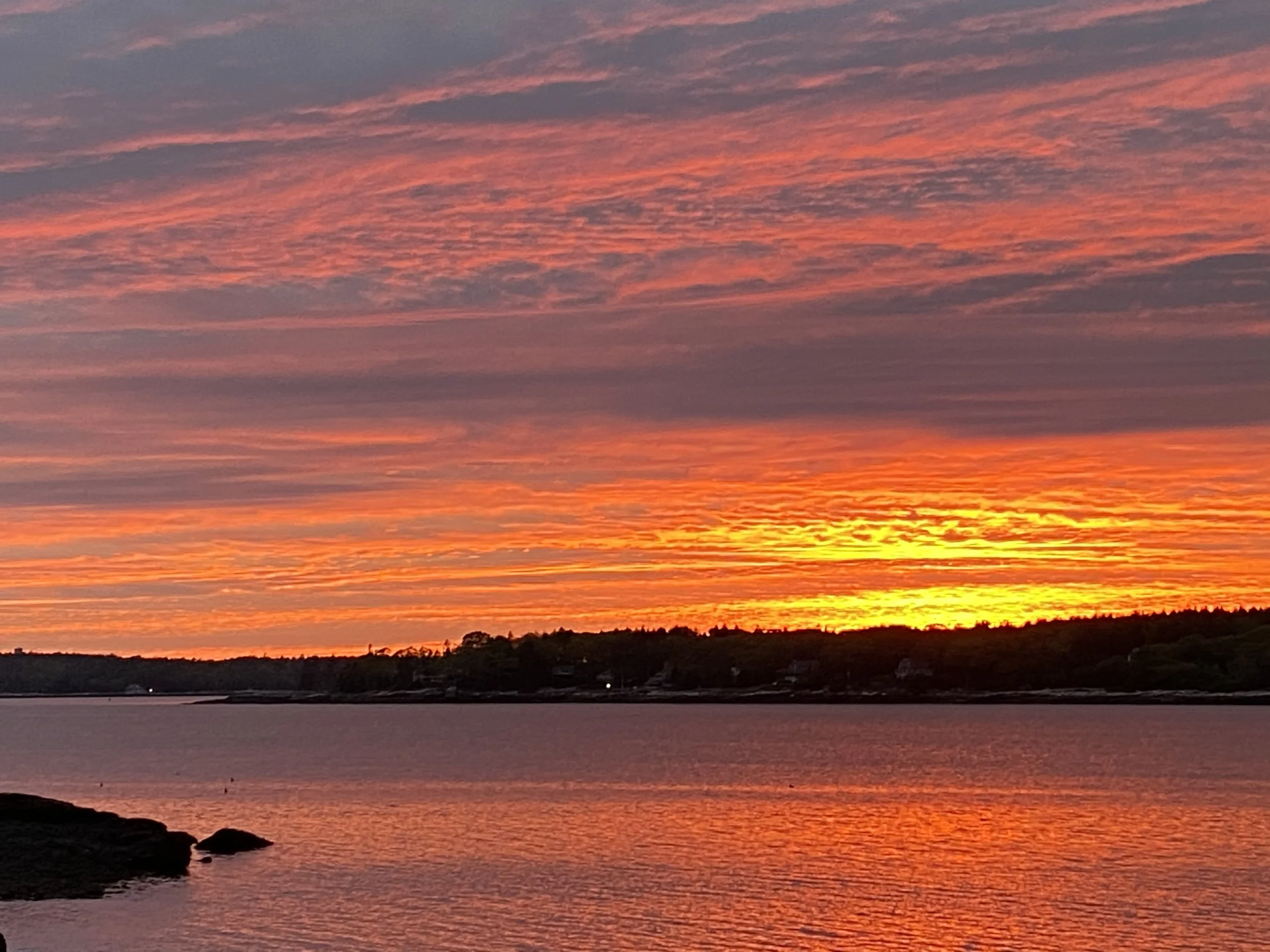 Top Questions Answered About Scenic Boat Tours in Boothbay Harbor, Maine