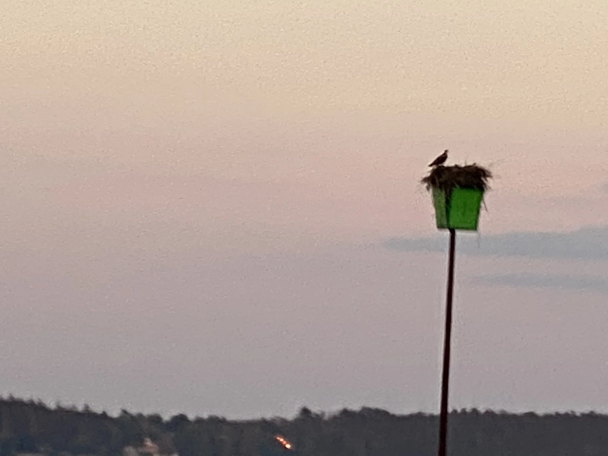 How Much Do Mid Coast Maine Fishing Charters Rate? Full Breakdown of Cost by Trip Type