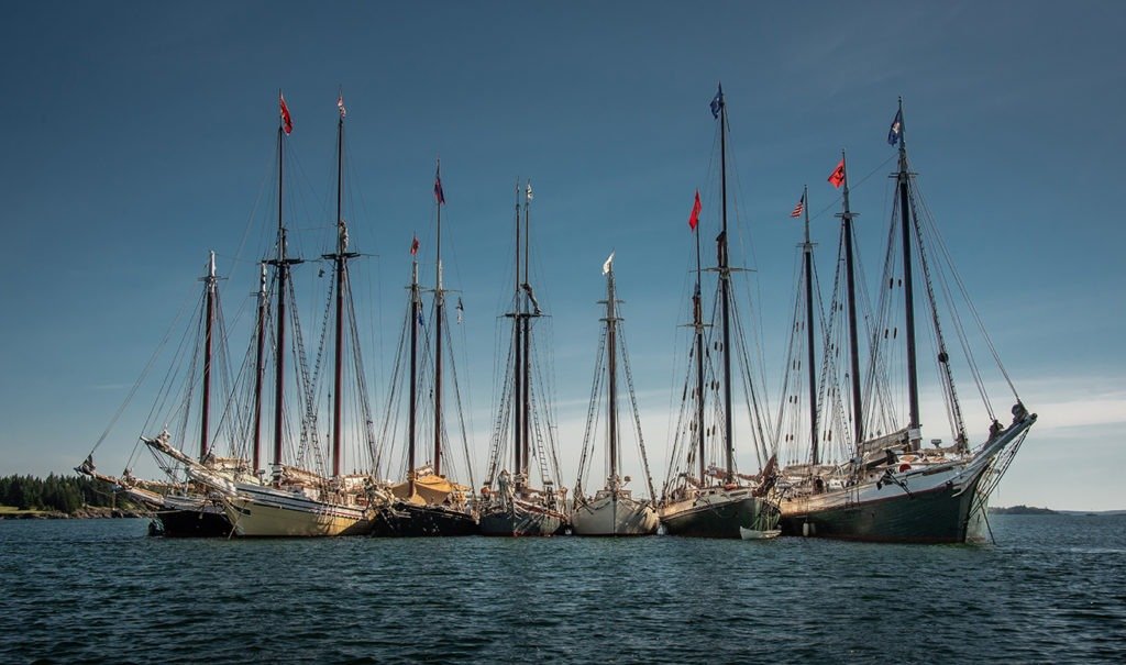 Why Half-Day Fishing Trips on the Maine Coast Are Perfect for Busy Summer Schedules
