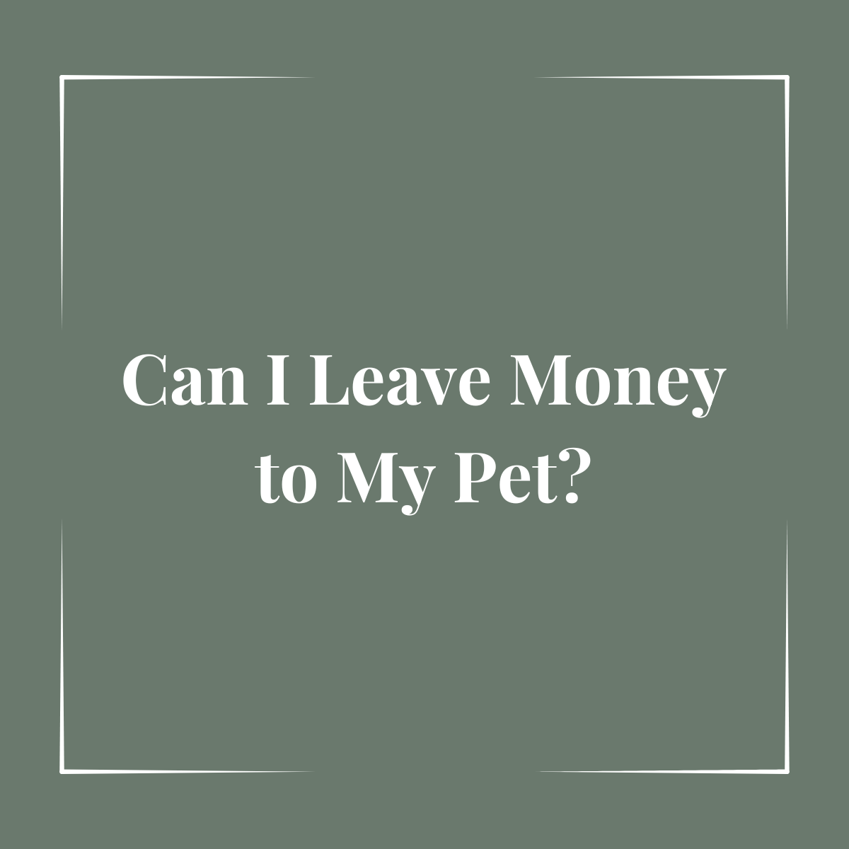 Can I Leave Money to My Pet in Ontario? Estate Planning for Pet Owners