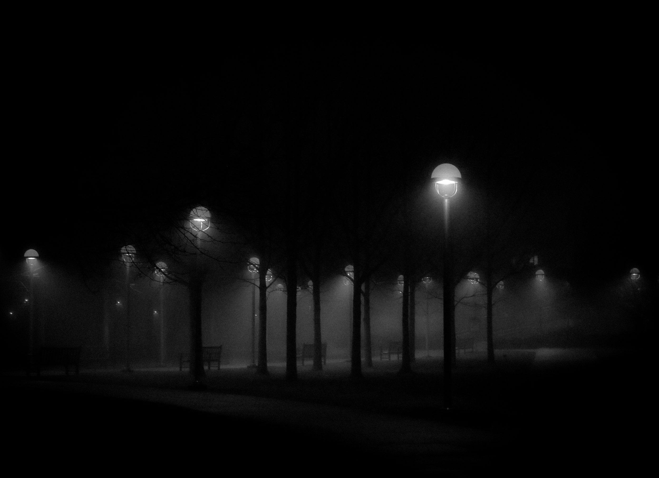 Fog1.jpg
