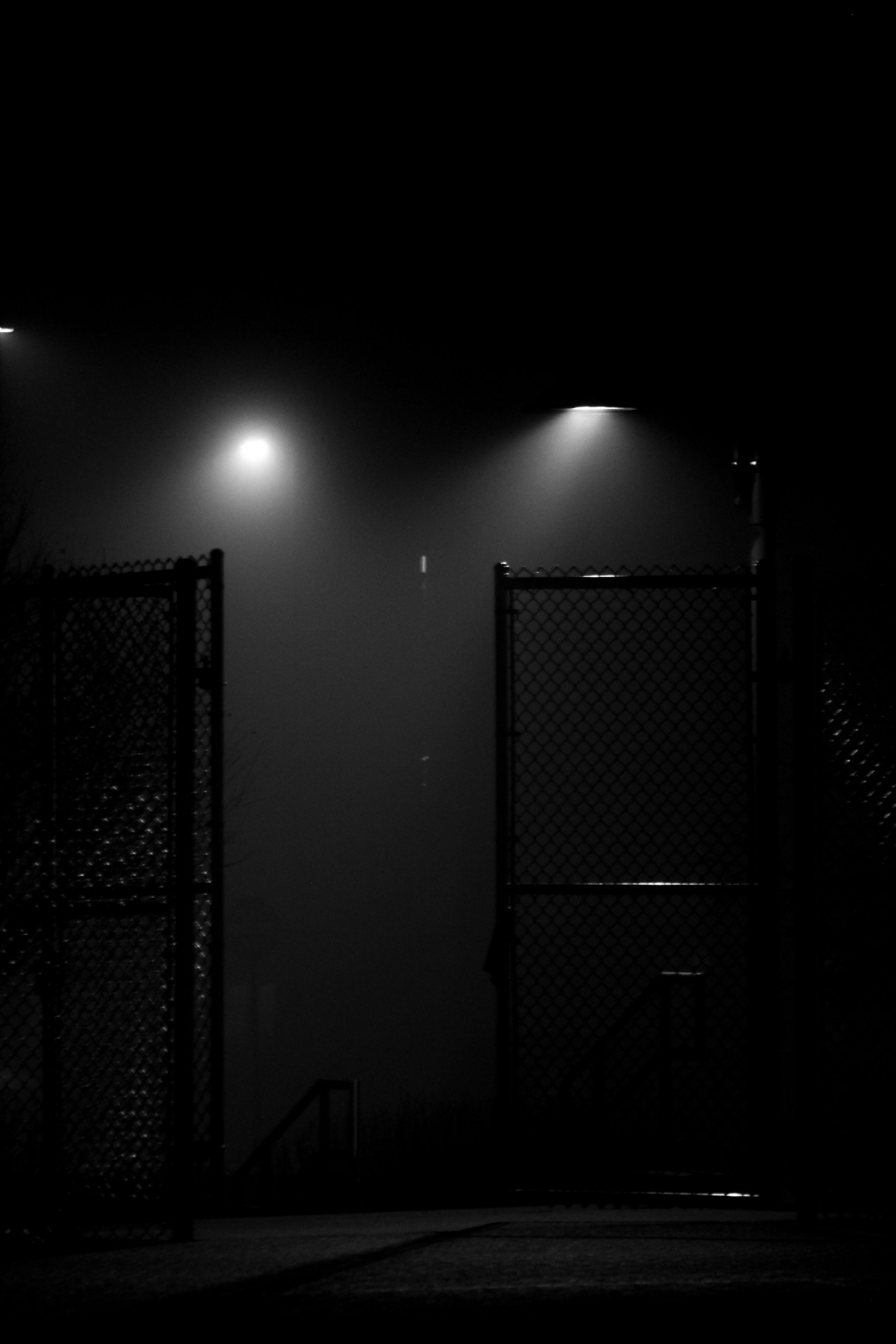 Fog6.jpg