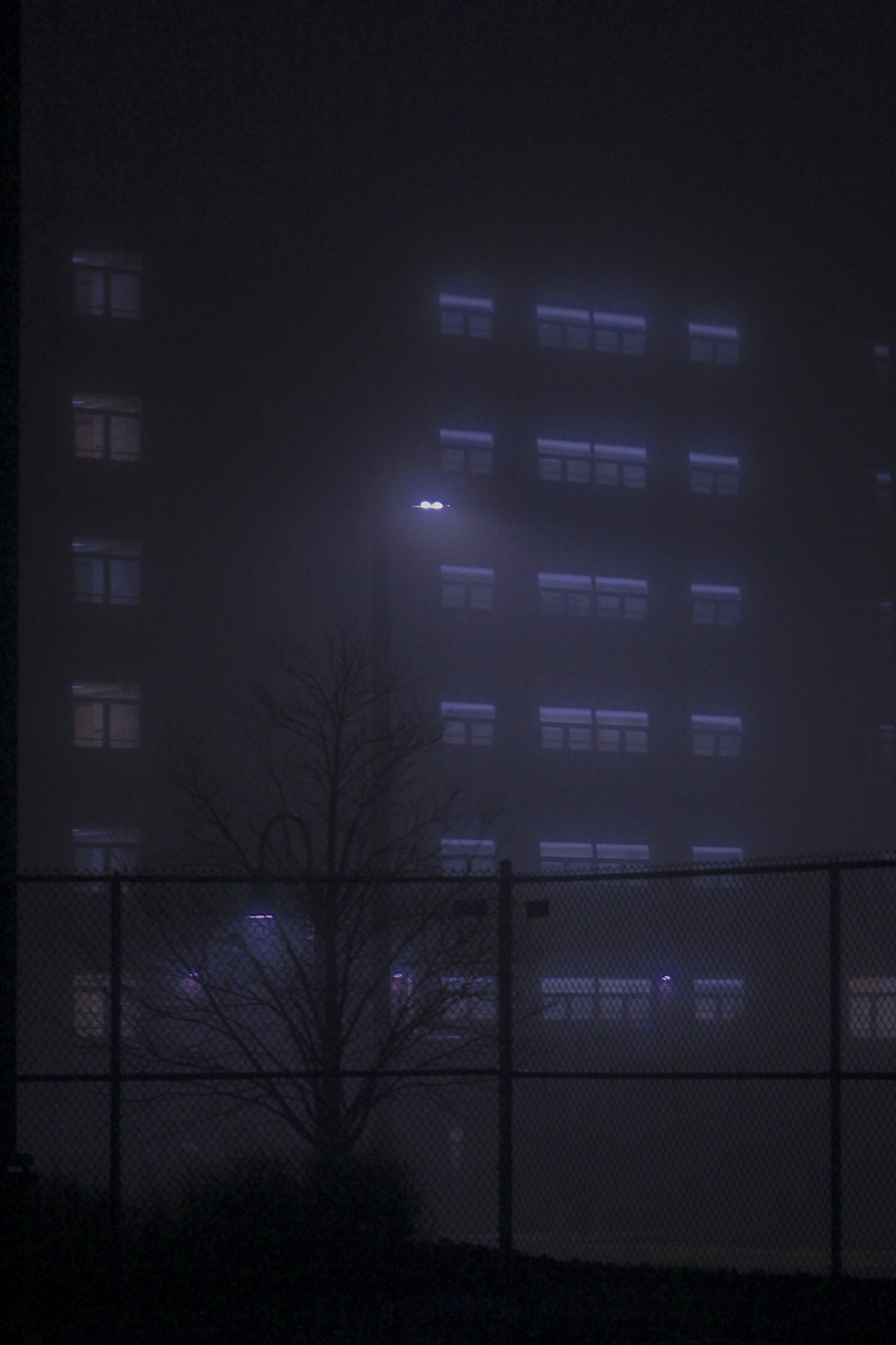 Fog7.jpg