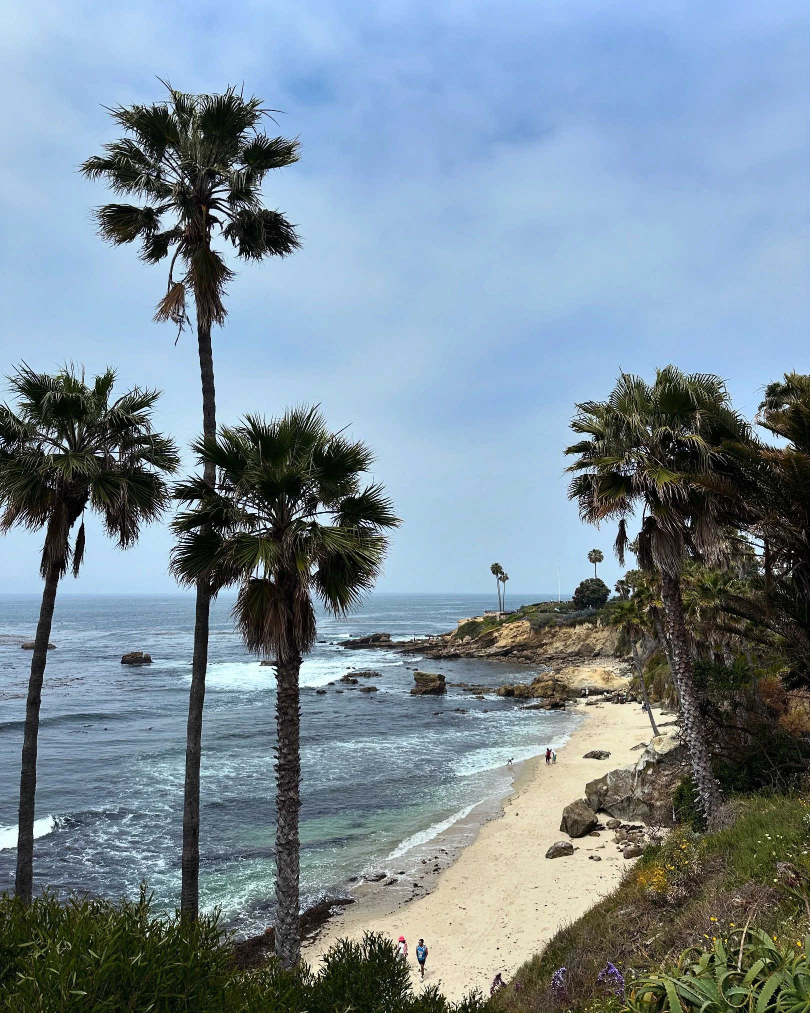 In May 2024 I visited Laguna Beach, CA with my boyfriend and his mother. It was so beautiful I knew I would want to paint it. 