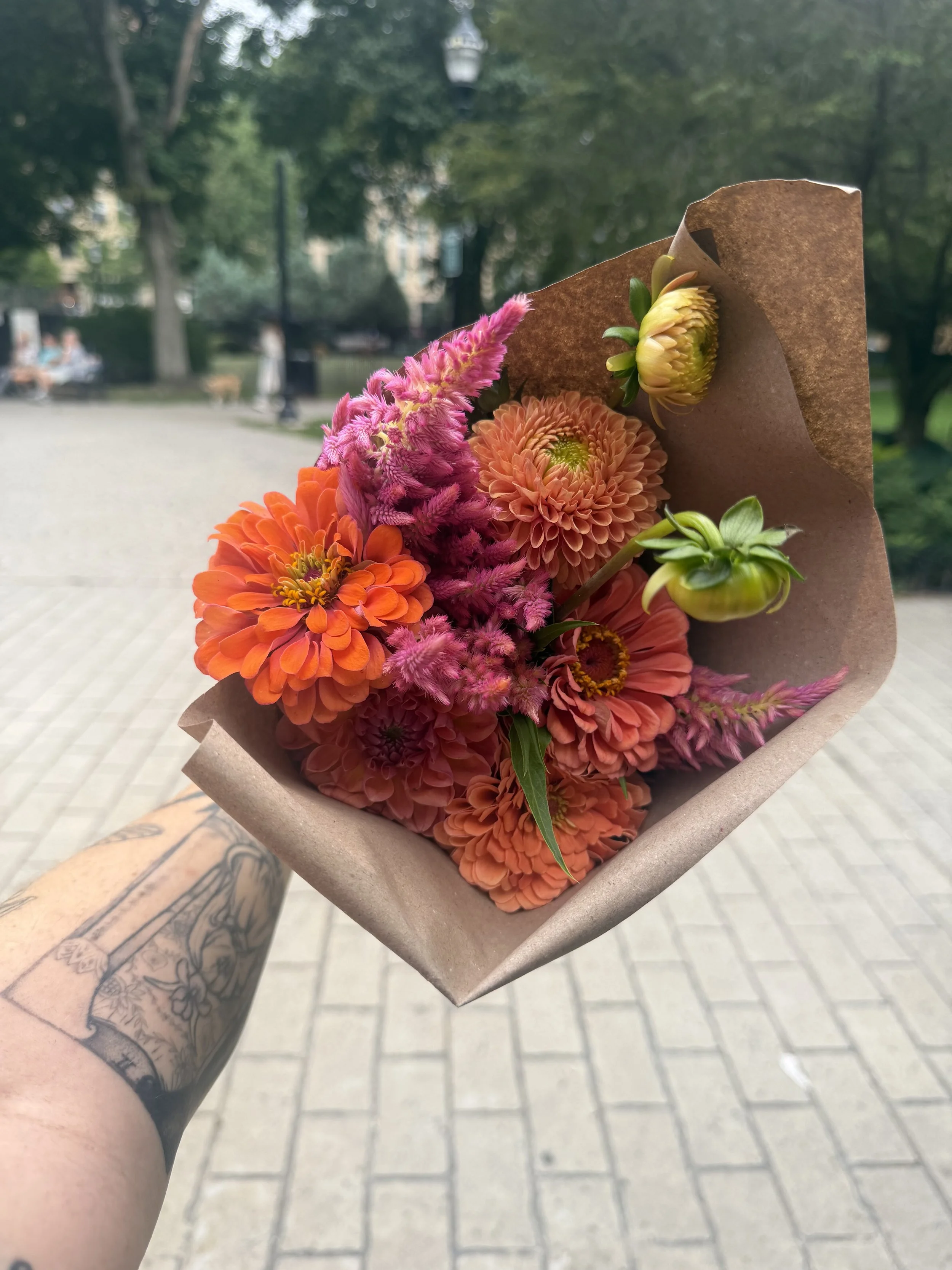 IMG_2058.jpeg