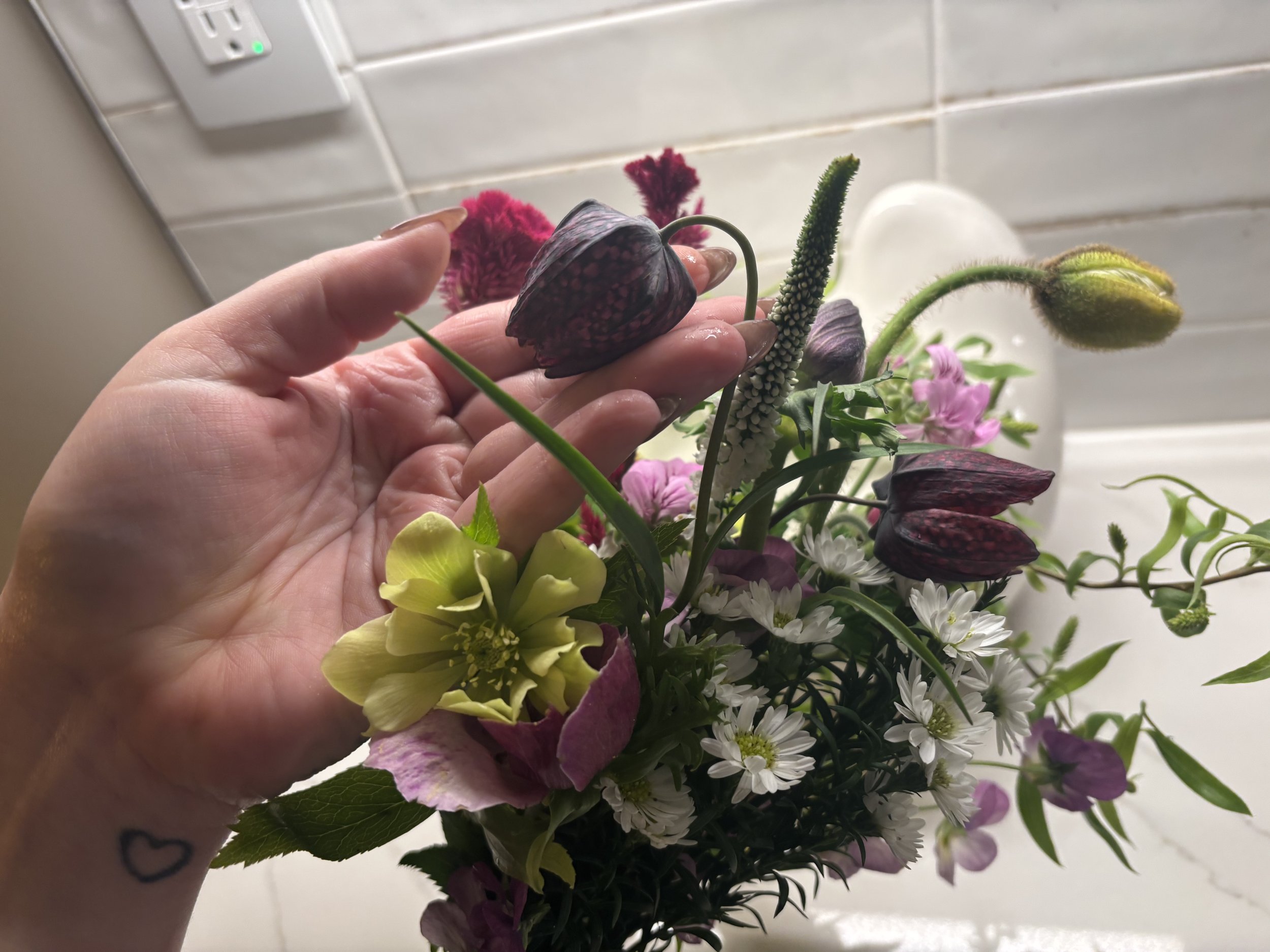 IMG_5660.jpeg