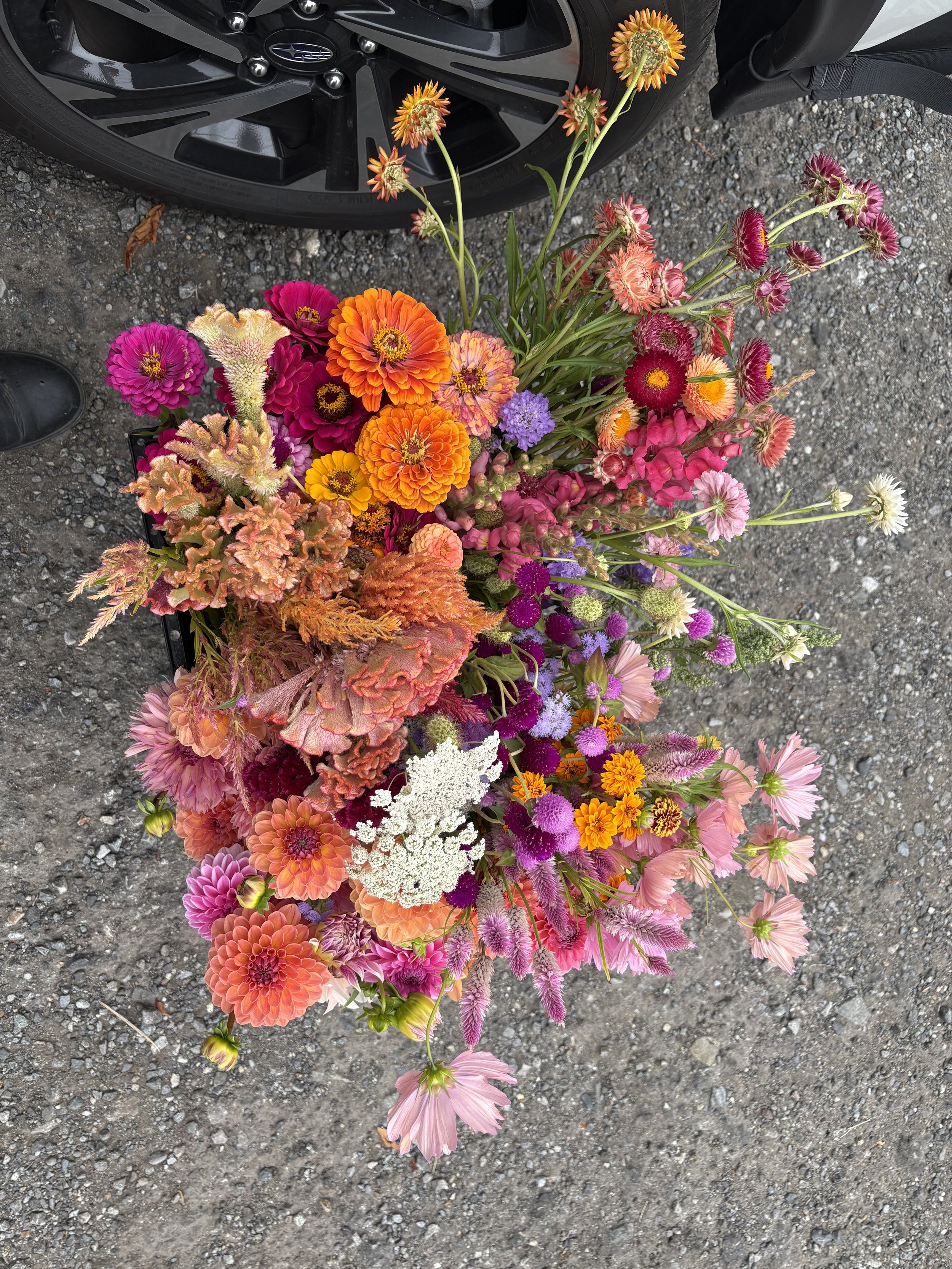 Colorful bouquet of various flowers including zinnias, cosmos, and marigolds placed on gravel ground next to a black car wheel.