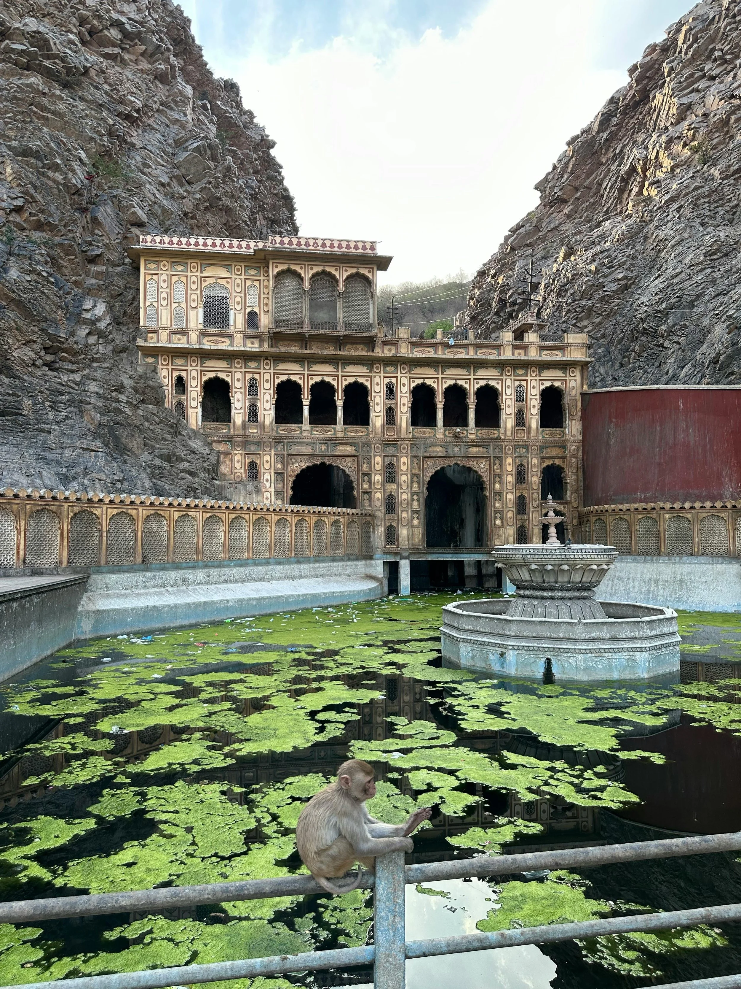 A monkey sitting on a metal railing in front of a pond with green lily pads, with an ornate historical building built into a rocky hillside in the background.