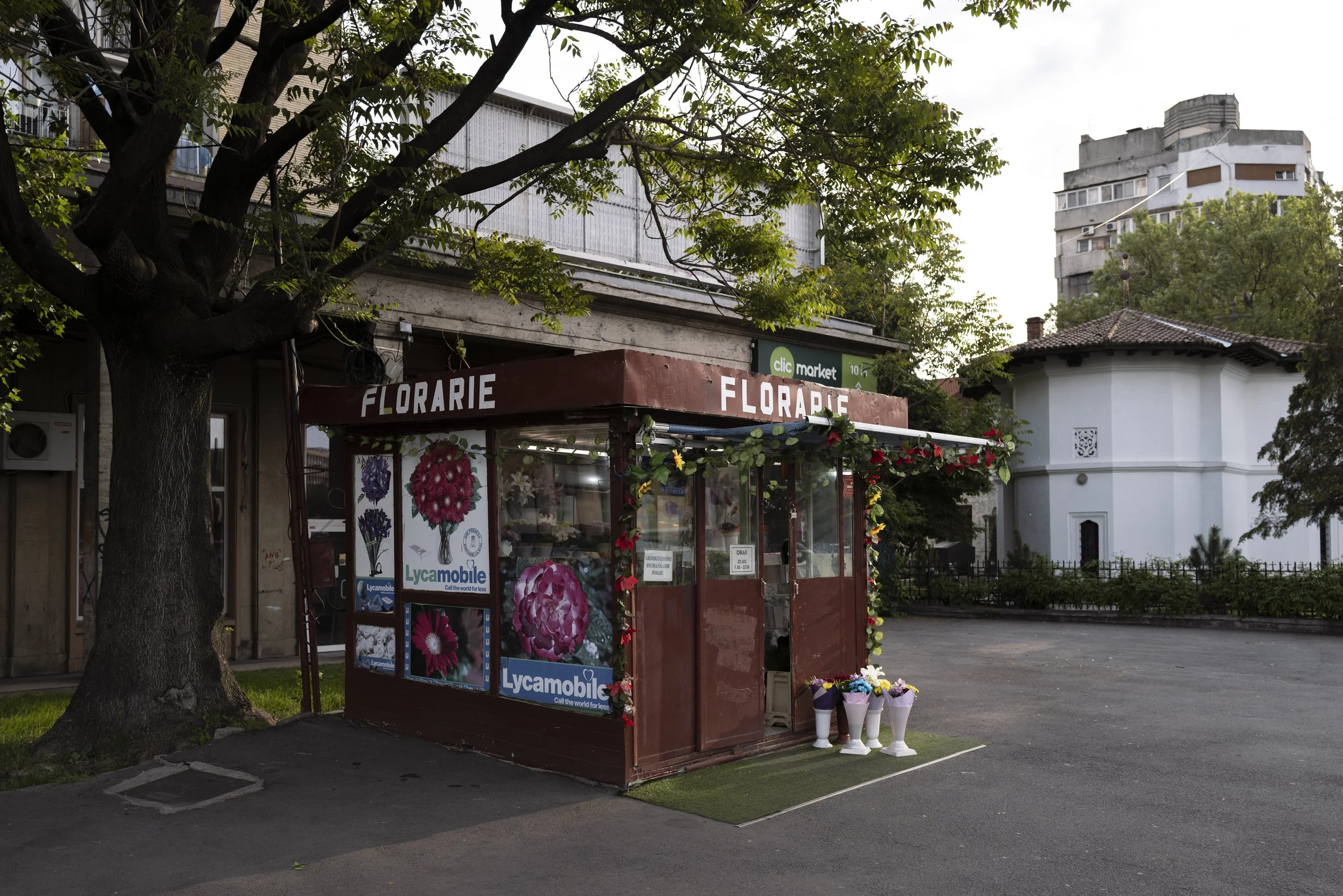Kleiner Blumenladen mit der Aufschrift 'FLORARIE' in einer städtischen Umgebung. Der Laden ist mit Bildern von Blumen dekoriert und es stehen Blumenvasen davor. Ein großer Baum befindet sich links vom Laden. Im Hintergrund sind Gebäude und grüne Bäum