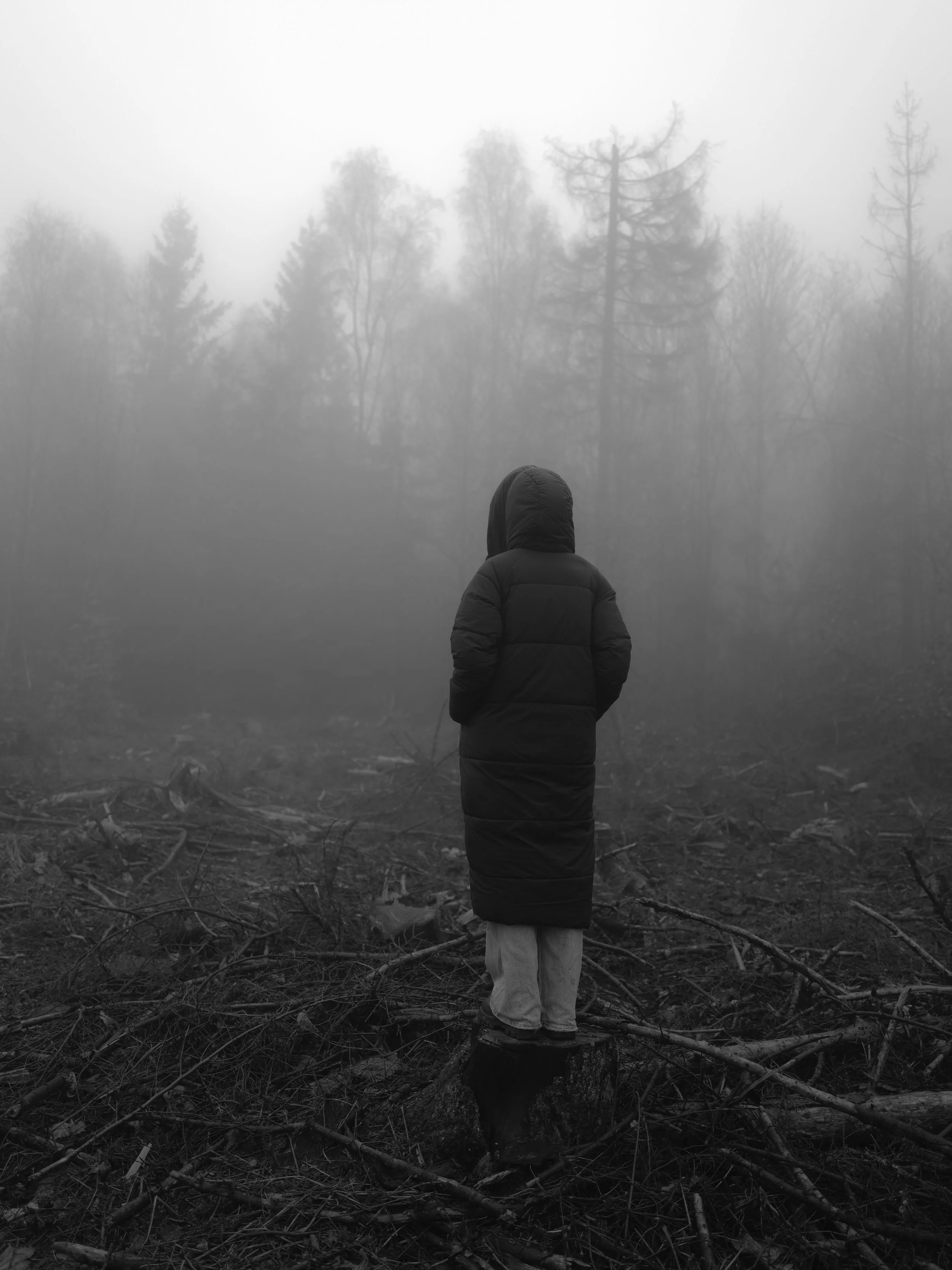 Eine Person in einem schwarzen Mantel steht auf einem Baumstumpf in einer durch Rauch oder Nebel vernebelten Landschaft mit toten Zweigen und Bäumen im Hintergrund.