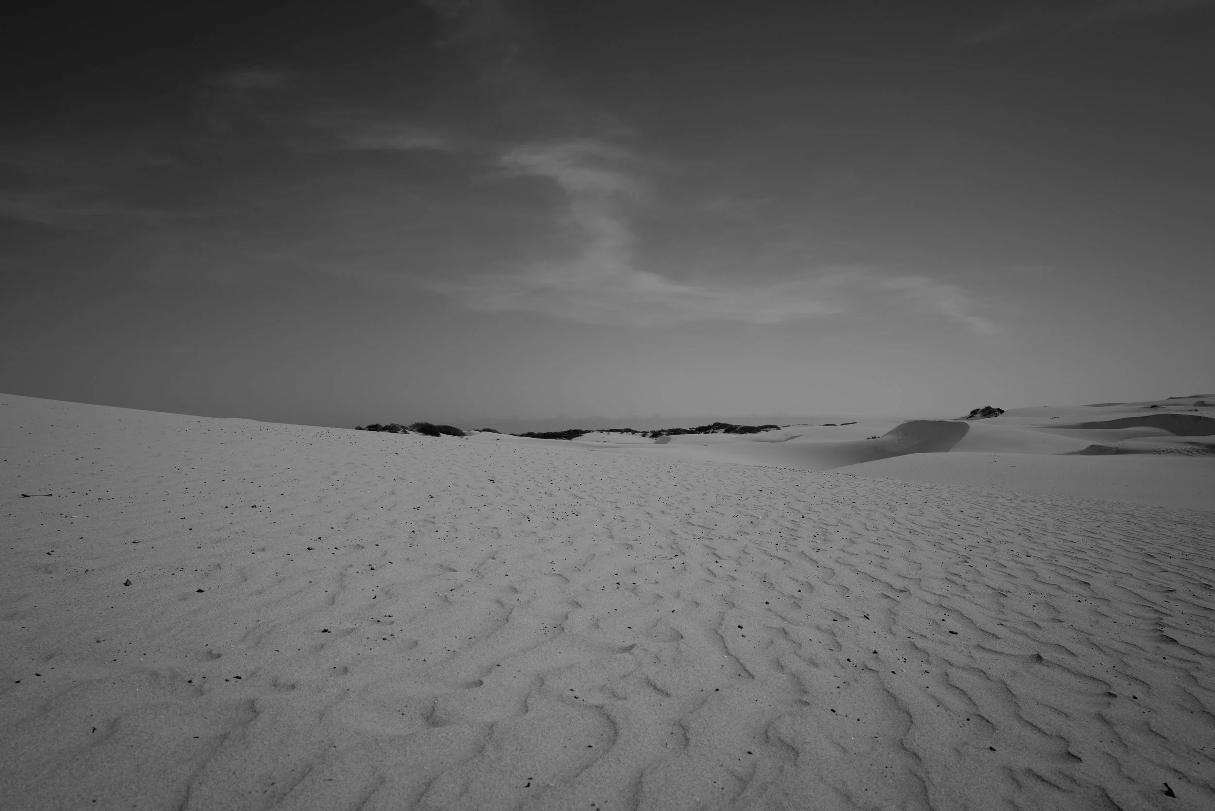 Verhüllte Wüstenlandschaft mit Sanddünen und mattem Himmel in Schwarz-Weiß.