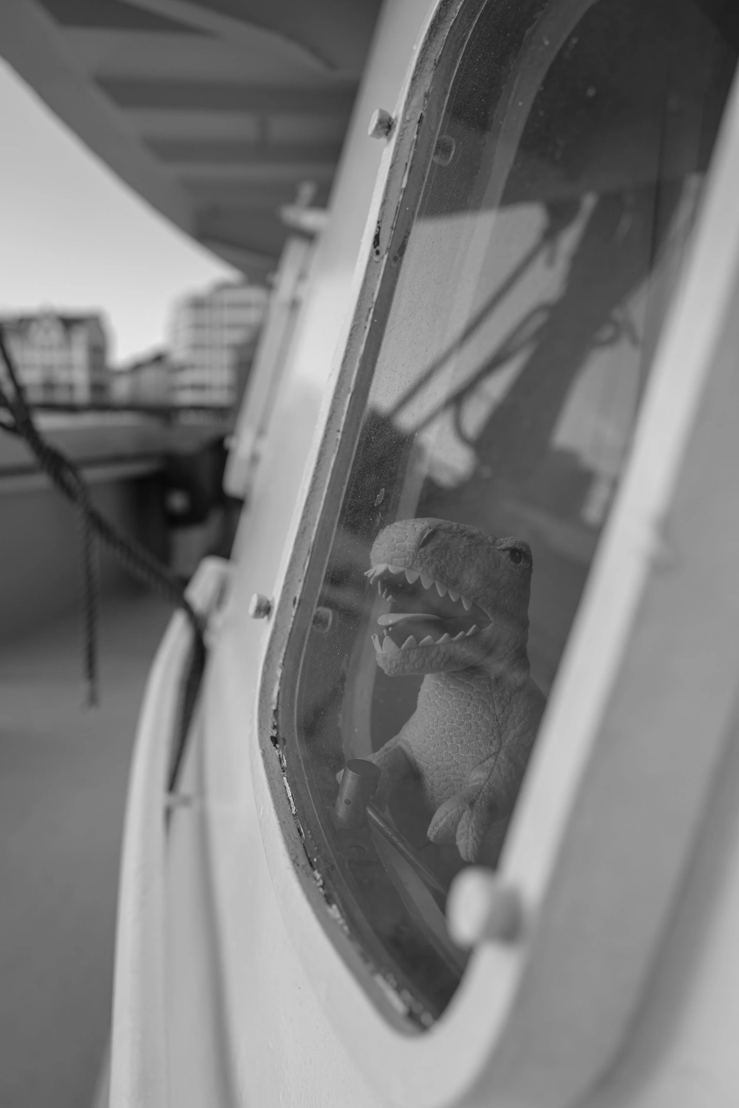 Spielzeugdinosaurier hinter einem Fenster auf einem Schiff.
