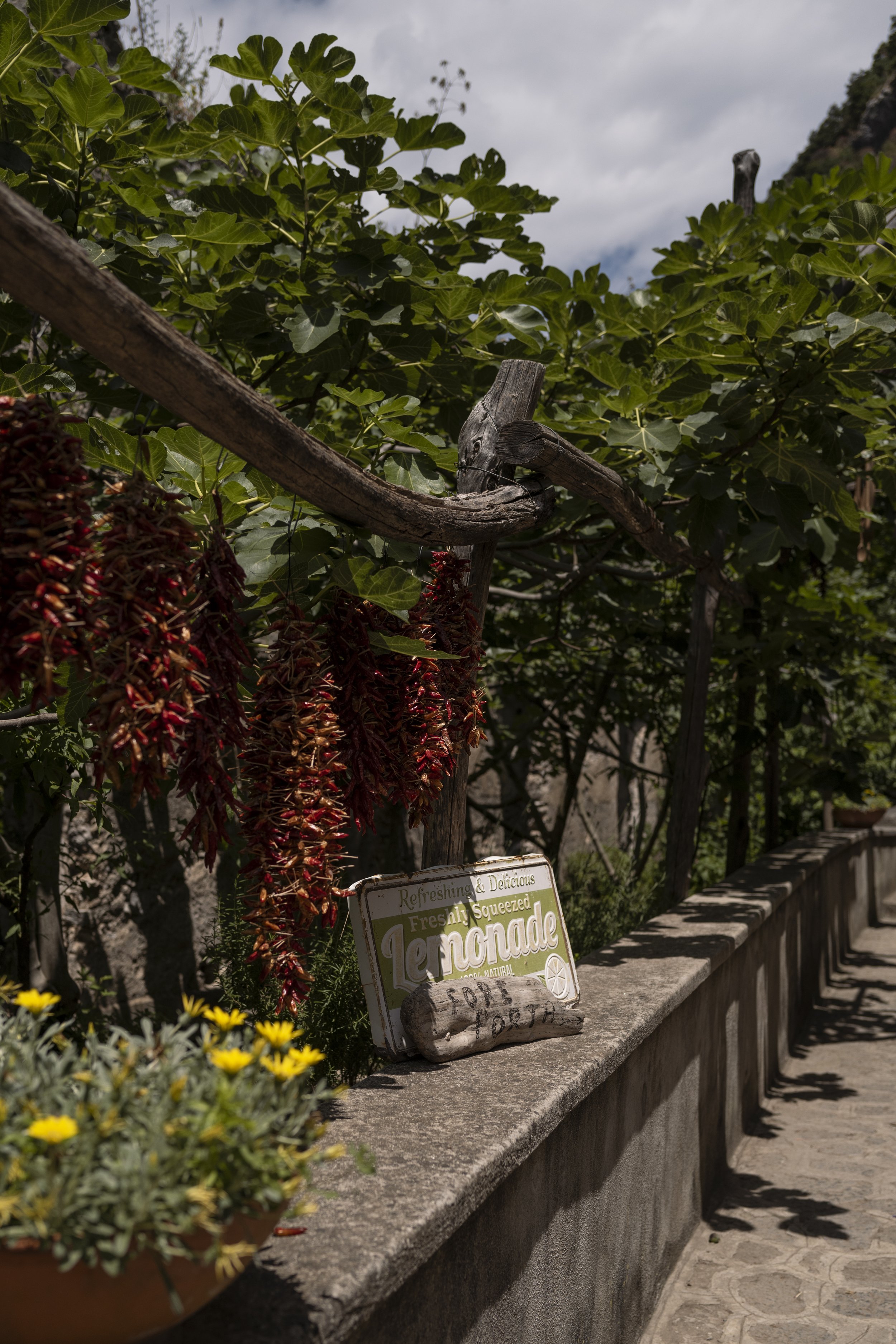 Gemütlicher Gartenweg mit hängenden roten Chilischoten und einem Schild, das Limonade anbietet, umgeben von grünen Blättern und gelben Blumen im Vordergrund.