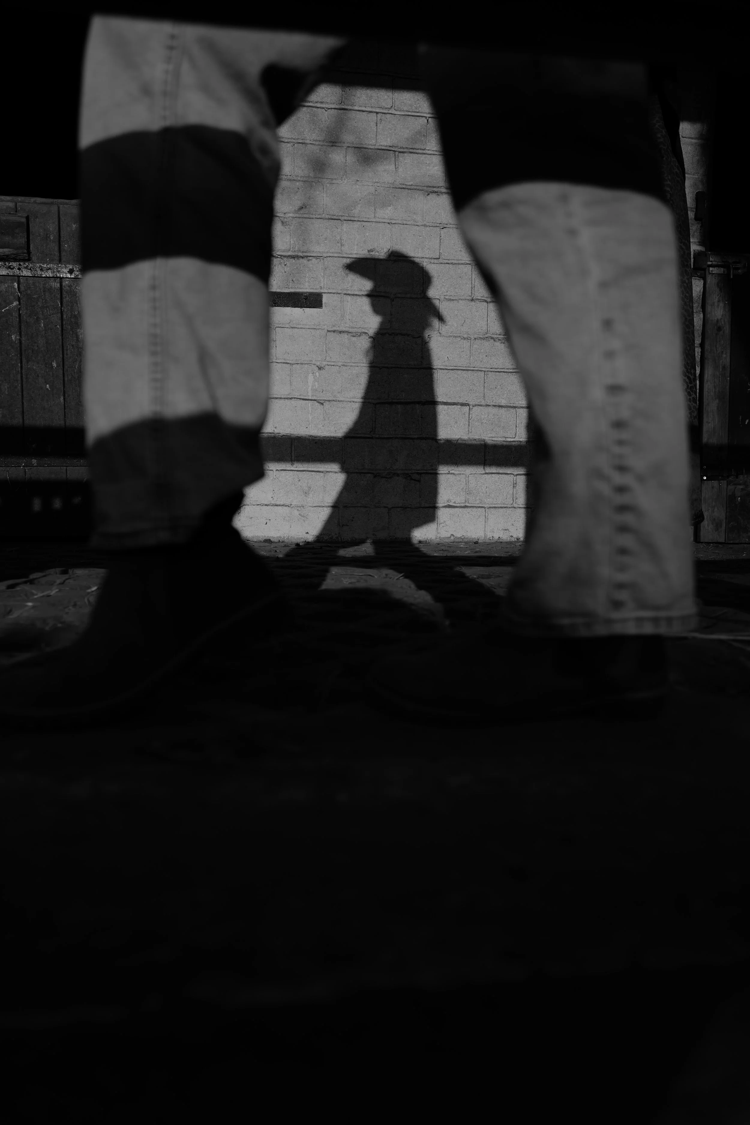 Schattenspiel einer Frau und eines Hundes an einer Backsteinwand, sichtbar durch die Beine eines Menschen im Vordergrund, schwarz-weiß