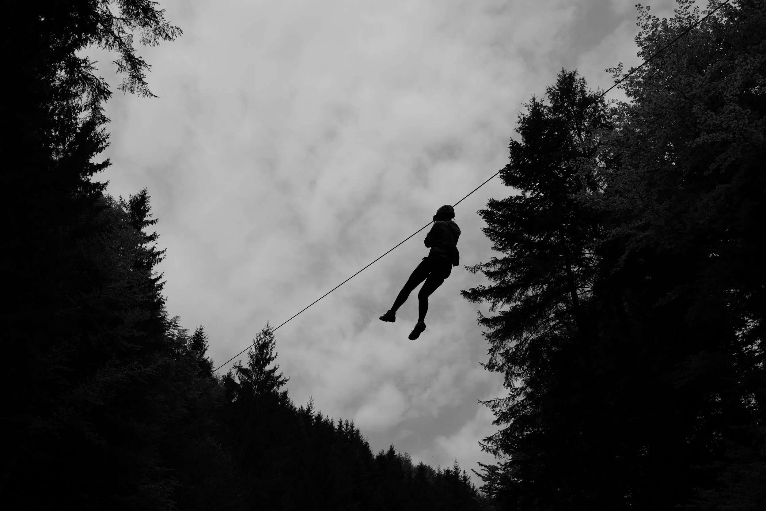 Siluette einer Person beim Ziplining durch einen bewaldeten Bereich.