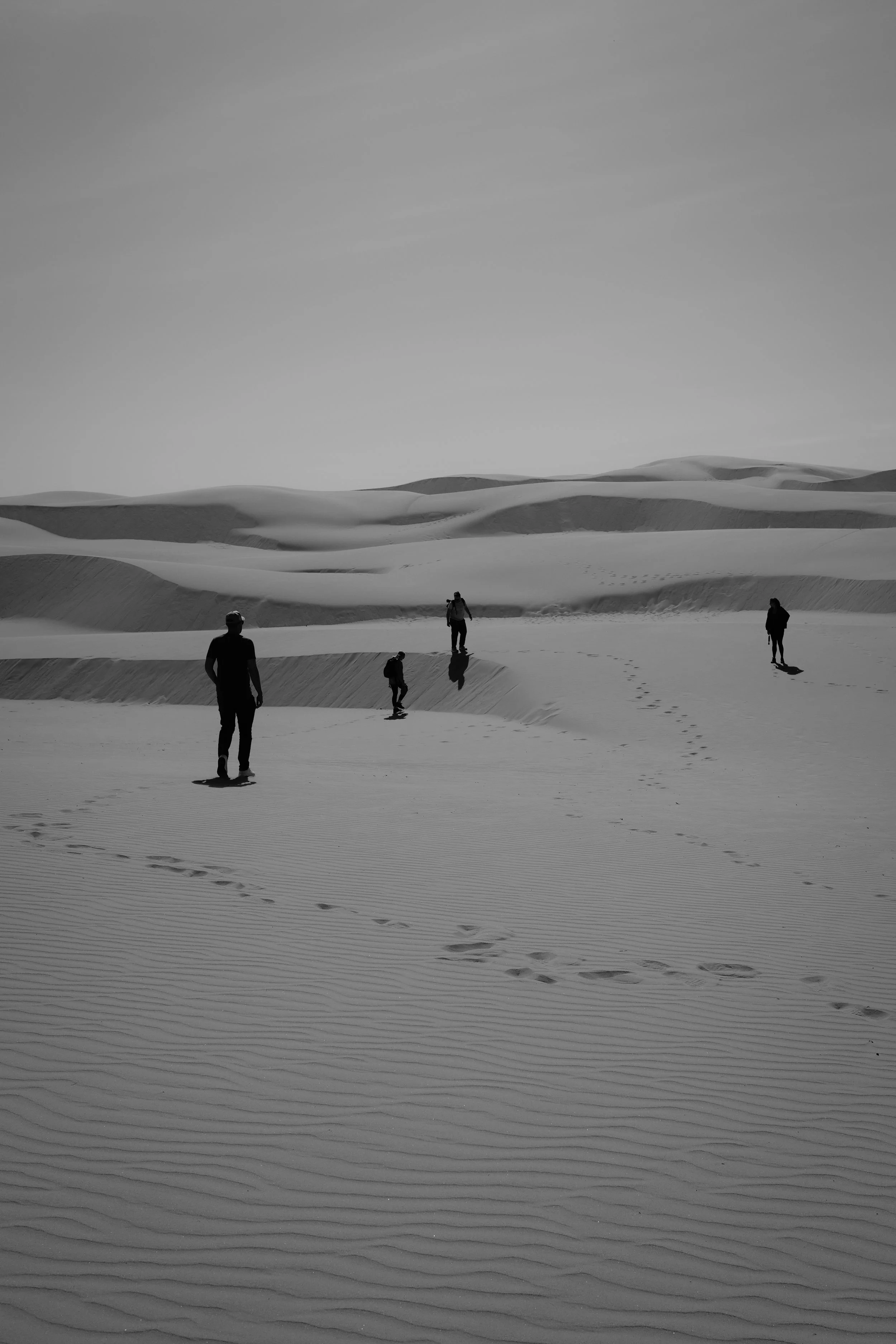 Vier Personen wandern in einer Wüstenlandschaft mit Sanddünen.