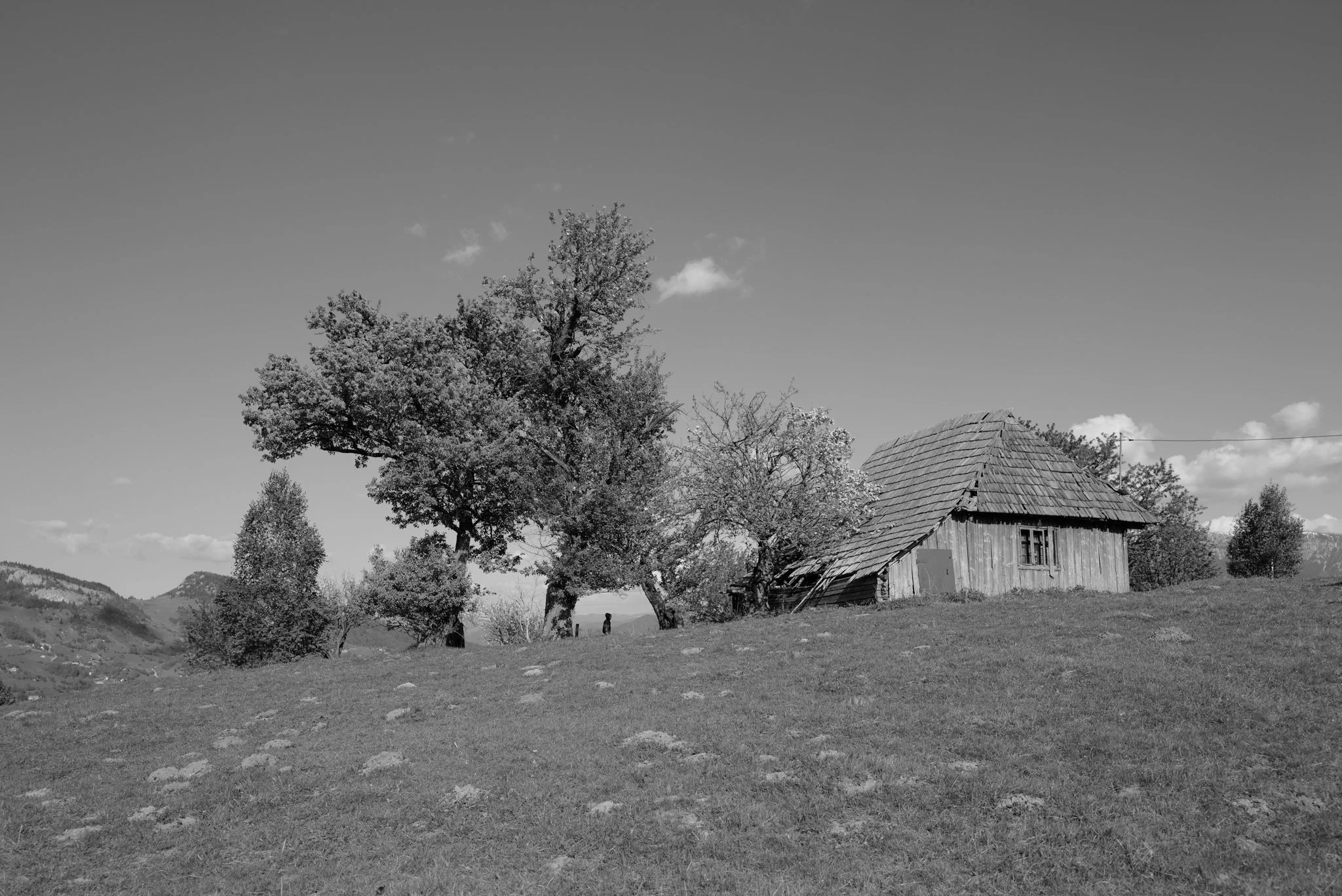 Schwarz-Weiß-Foto einer Landschaft mit einem alten Holzhäuschen, umgeben von Bäumen auf einem Hügel, im Hintergrund Berge und bewölkter Himmel.