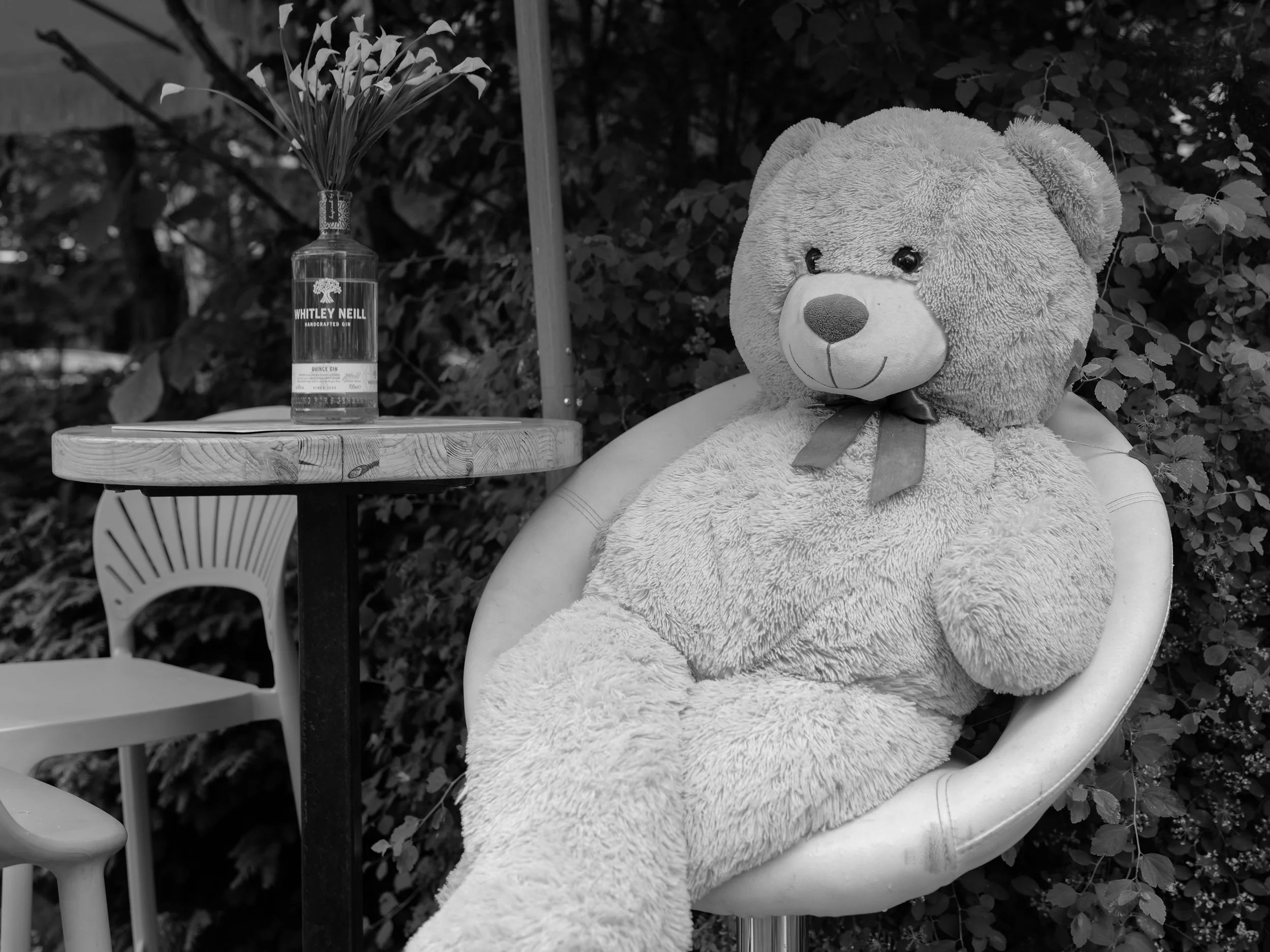 Ein übergroßer Plüschbär sitzt entspannt auf einem Stuhl neben einem Tisch. Auf dem Tisch steht eine leere Ginflasche, die als Vase für Blumen dient. Im Hintergrund sind Sträucher und Blätter zu sehen. Die Szene ist in Schwarz-Weiß gehalten.
