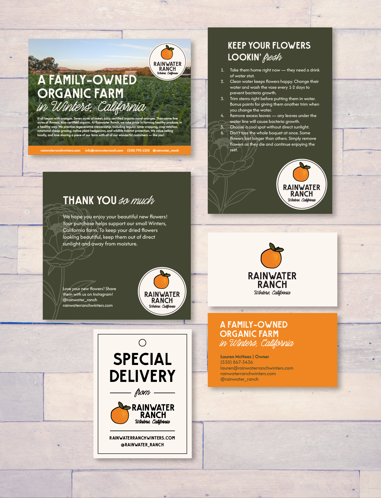 Rainwater Ranch — A warm, story-driven brand that helps the farm connect with customers and celebrate its roots.