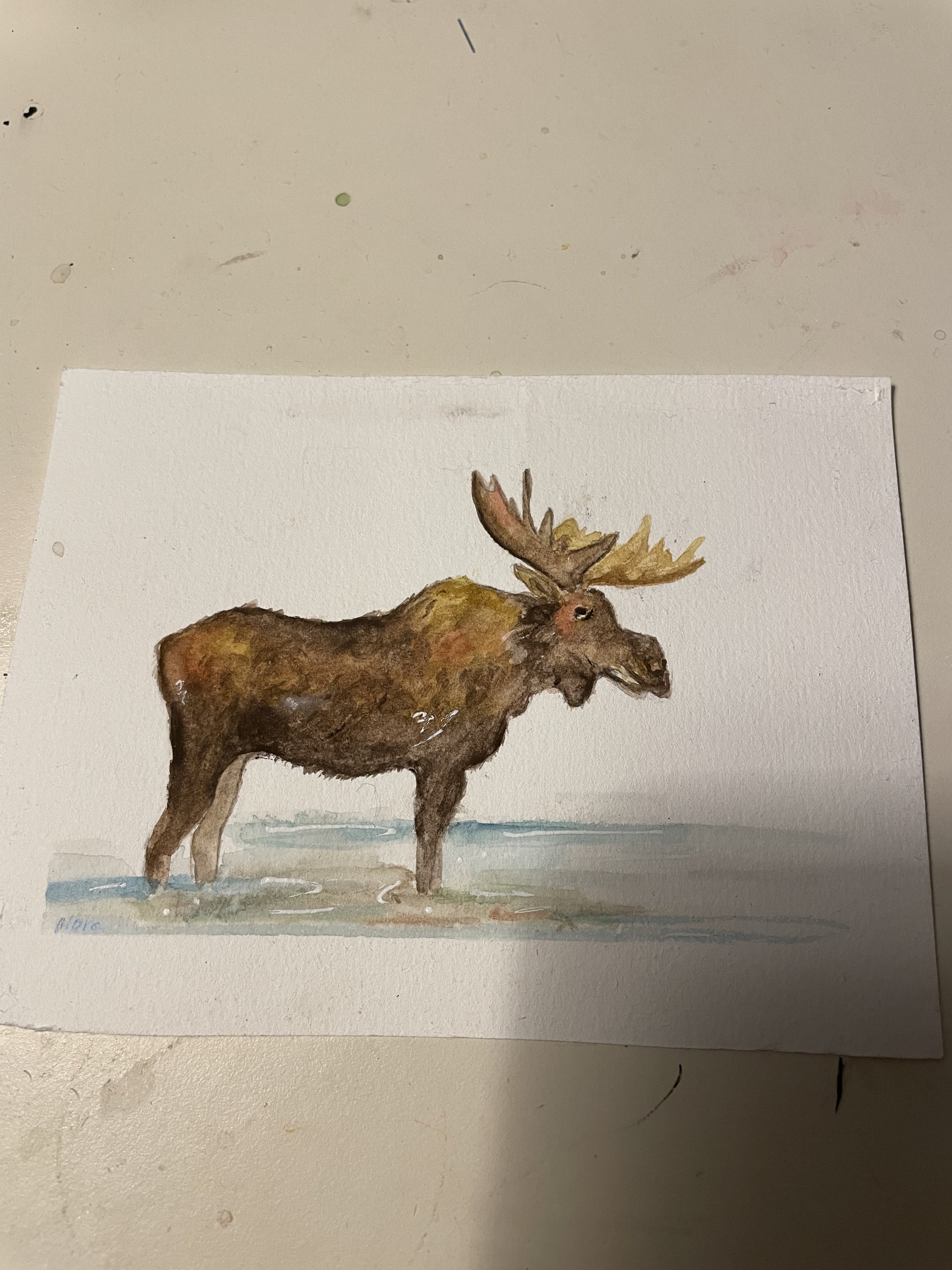 Moose WC.jpeg