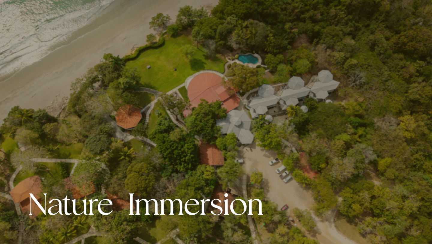 Nature Immersion.webp