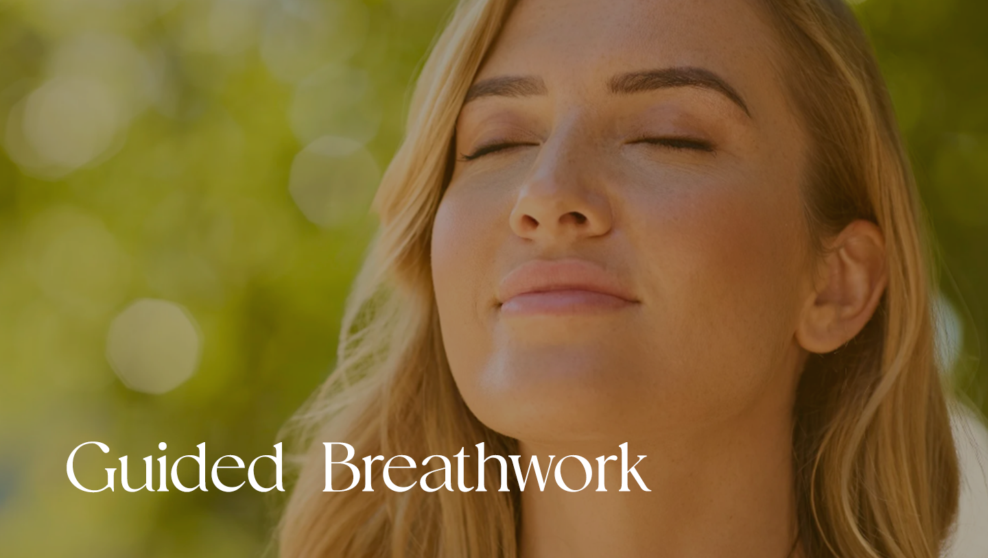 Guided Breathwork.webp