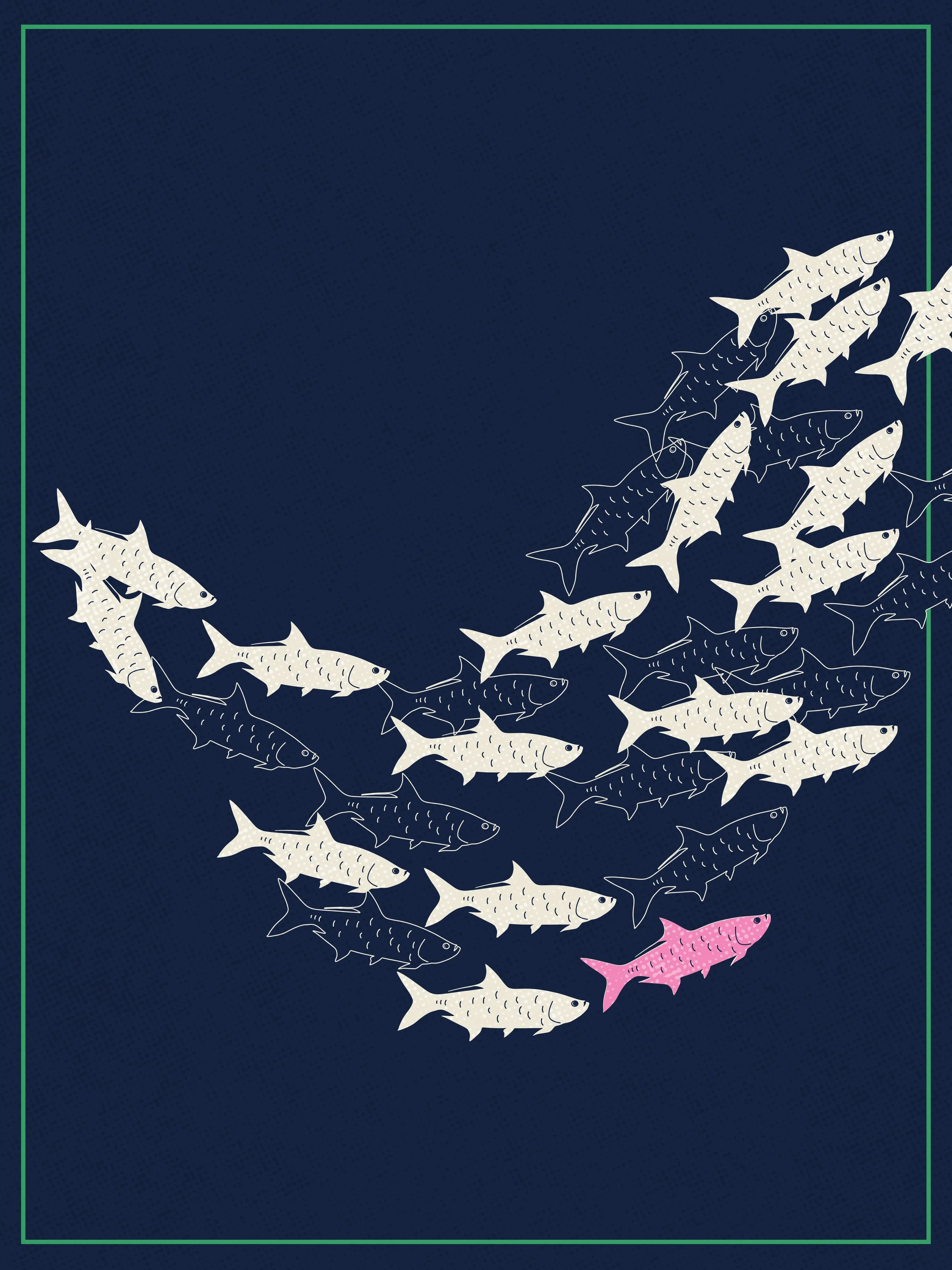 Illustration