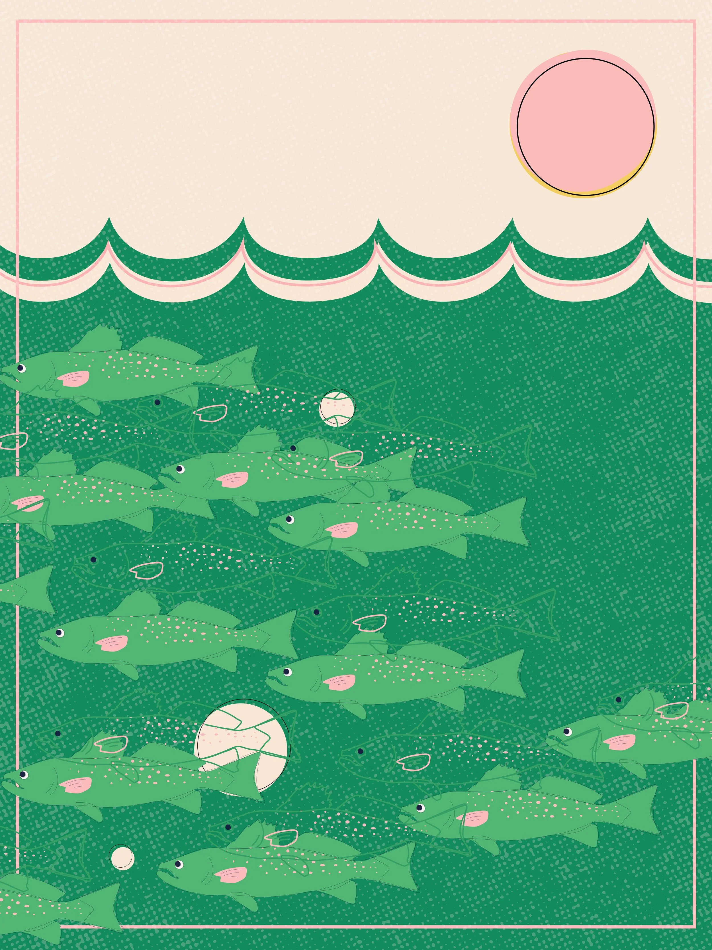 school of trout.jpg