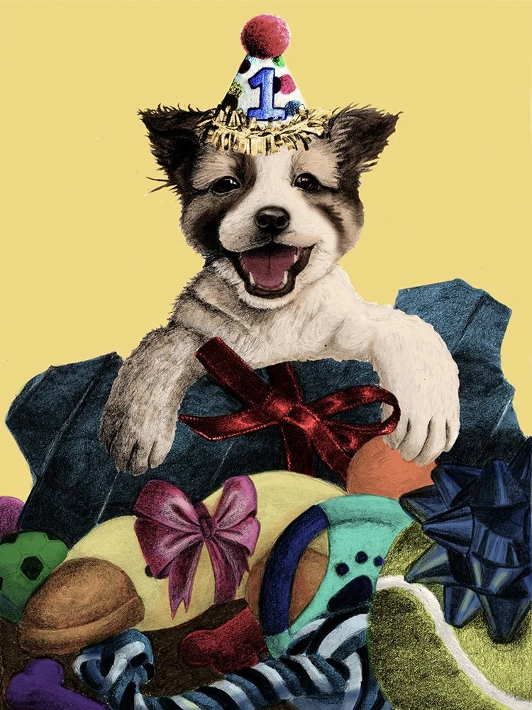 Every Dog Has its Day