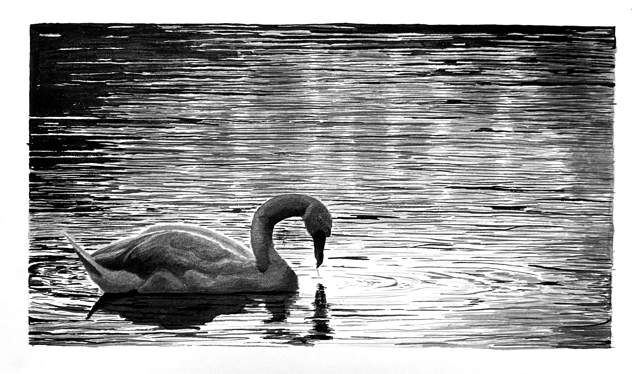 Swan Lake