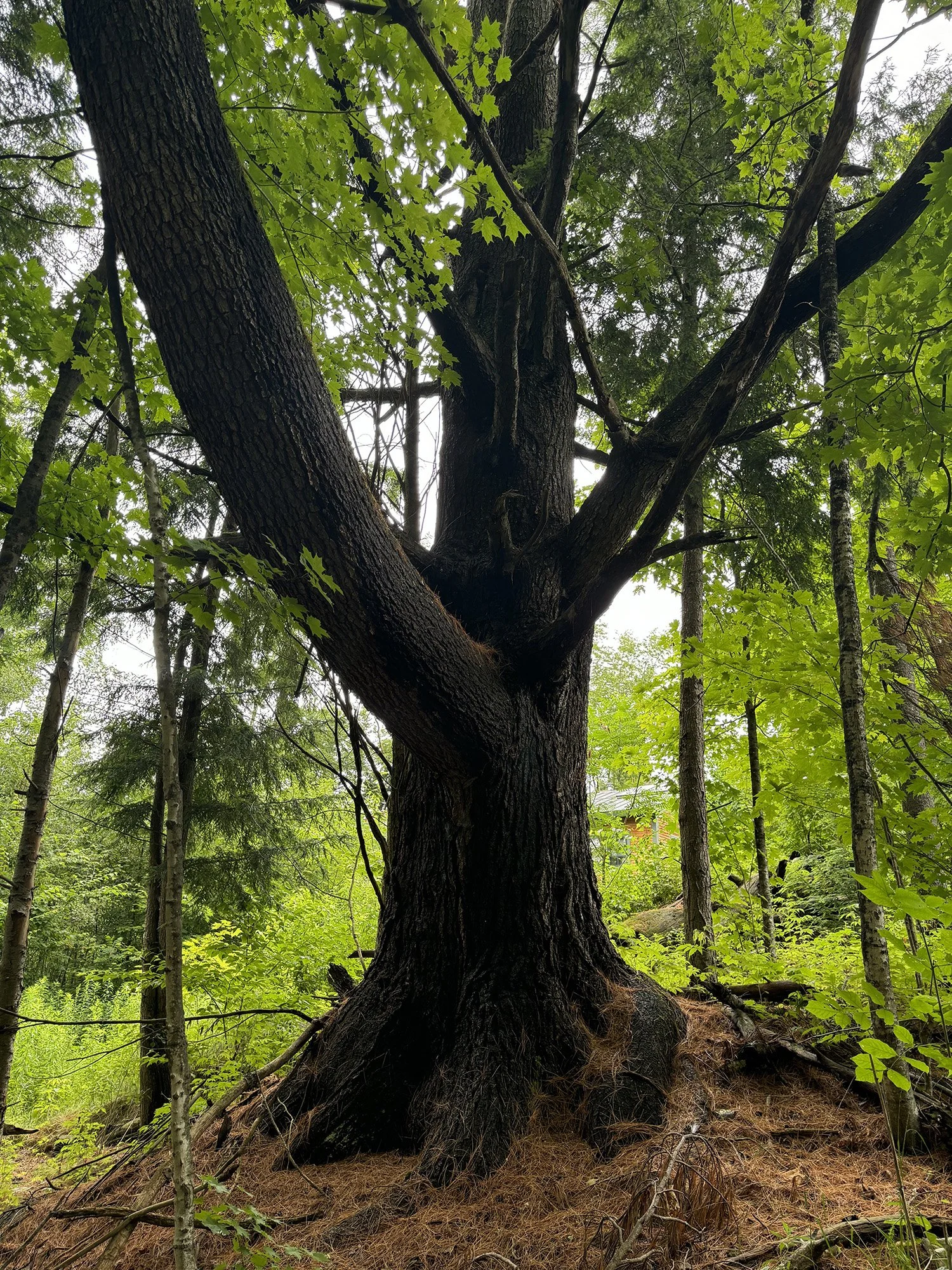 June Farm News: Occupied with What Matters