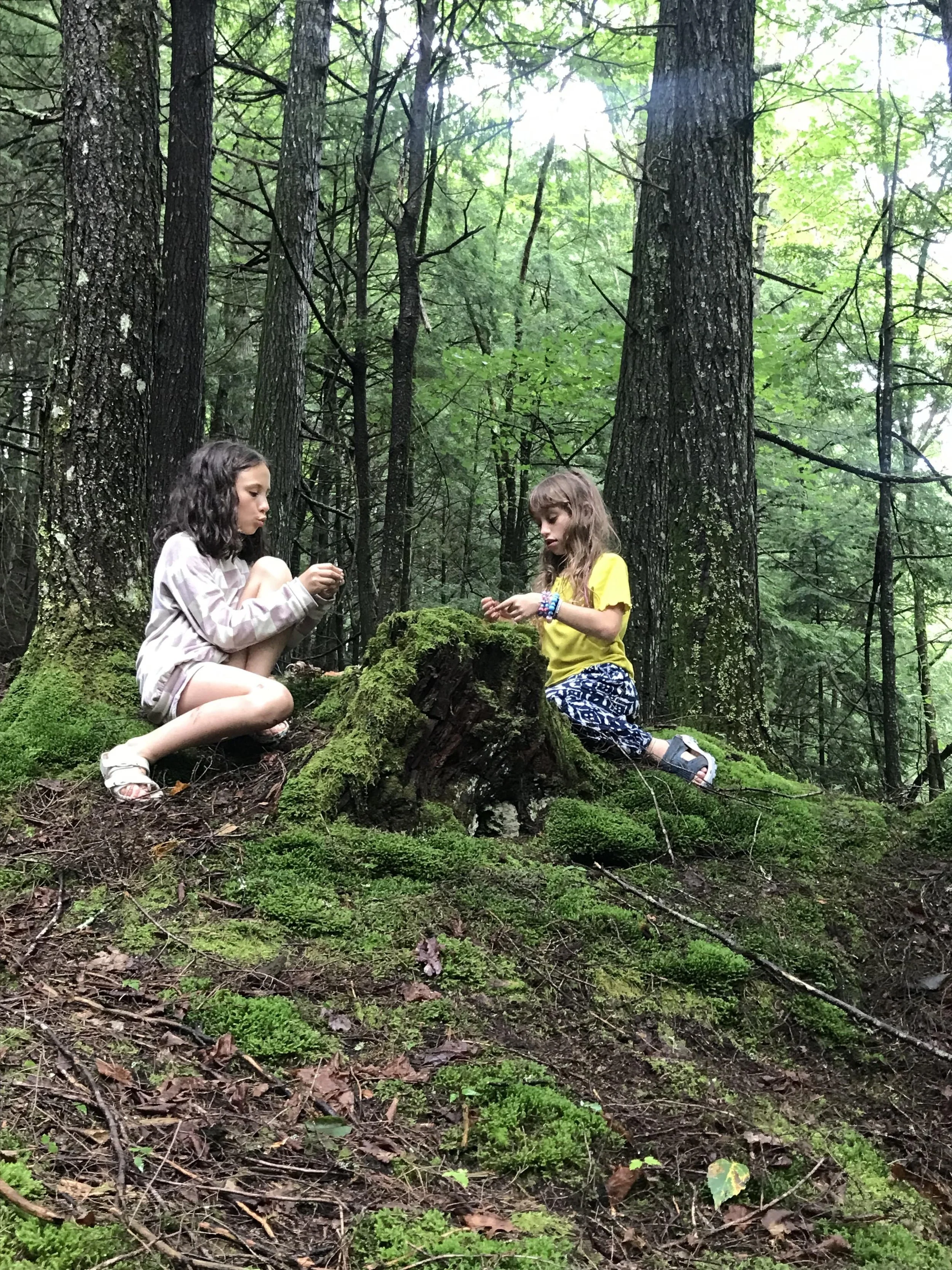 camp girls in the woods.jpeg