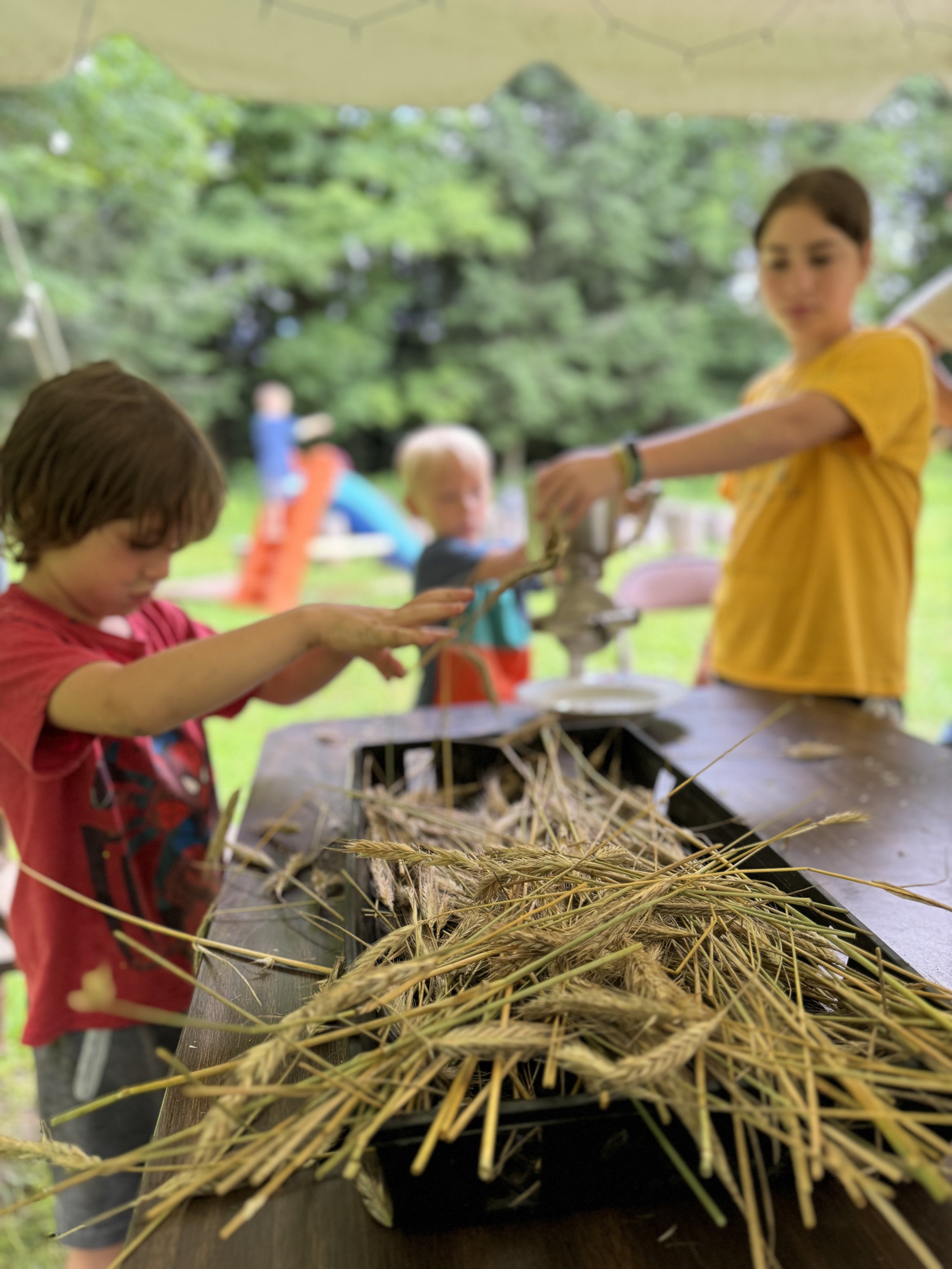 Camp kids wheat.jpeg