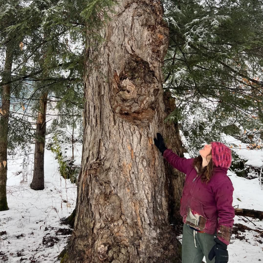 January on the Farm: Hidden Growth in the Heart of Winter