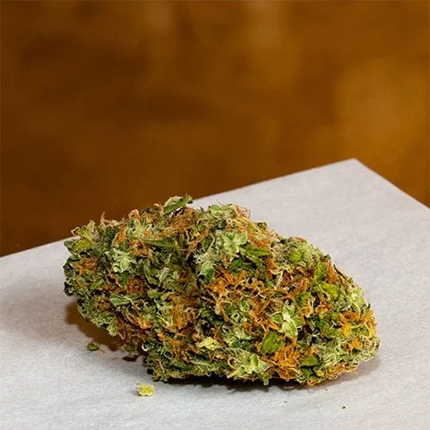 Maui Wowie (Sativa) 3 pack- Photo Fem
