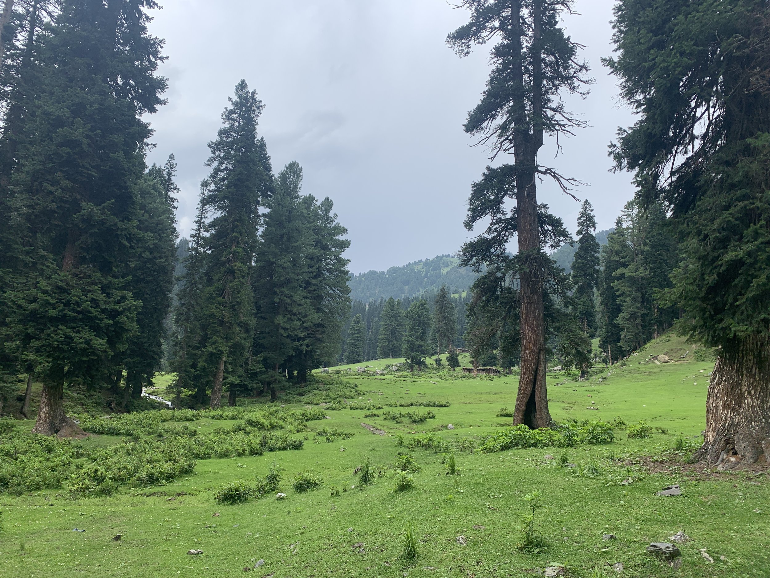 Pahalgam, JK, India. Shot on iPhone. August 2021.