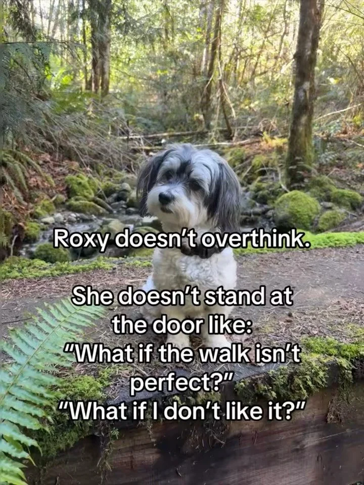 Roxy isn&rsquo;t overthinking anything&hellip; she&rsquo;s just living. She doesn&rsquo;t need a perfect plan, a better mood, or more time. She sees the door open and she goes.

Meanwhile we&rsquo;re standing there negotiating with ourselves like it&