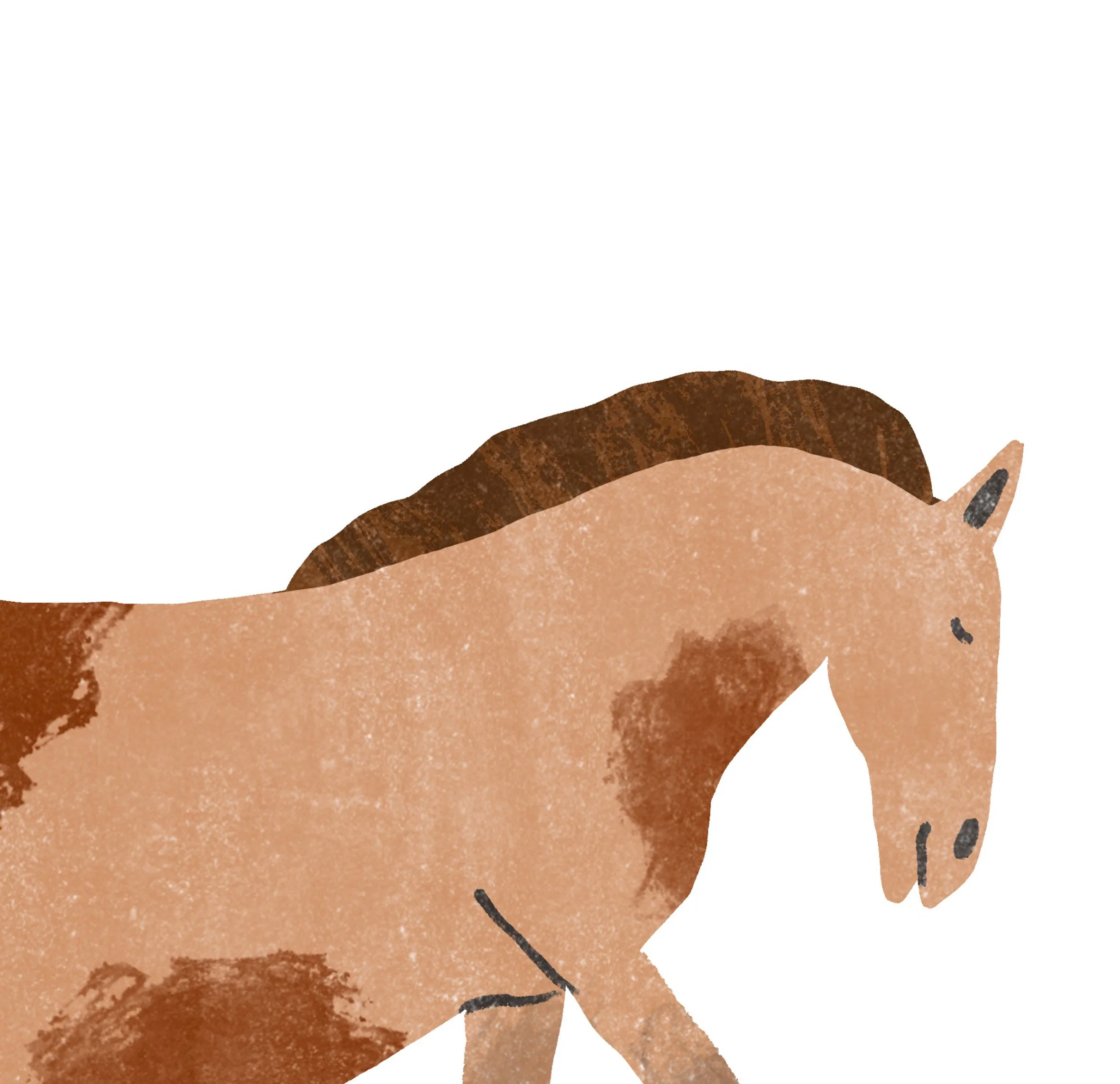 Horse.jpg