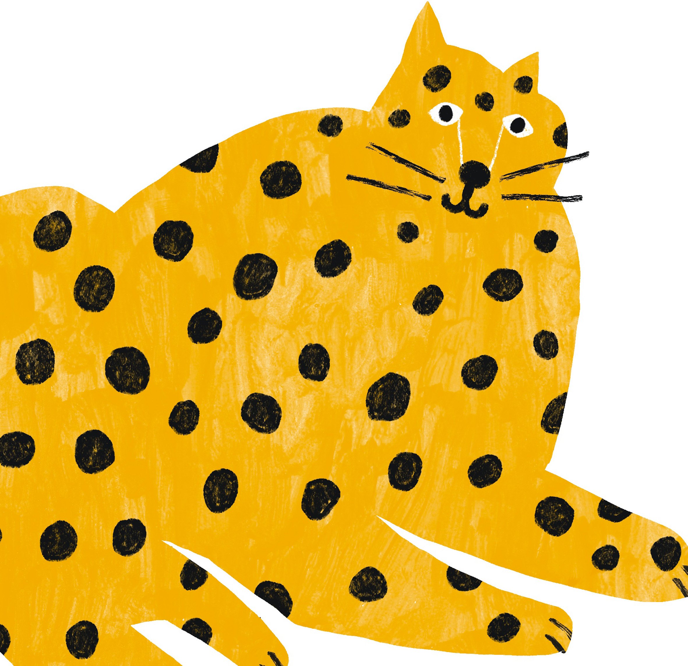 Leopard.jpg