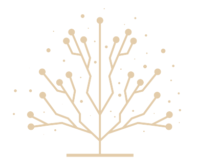 Abstract graphic design resembling a stylized tree with branching lines and circular nodes on a black background.