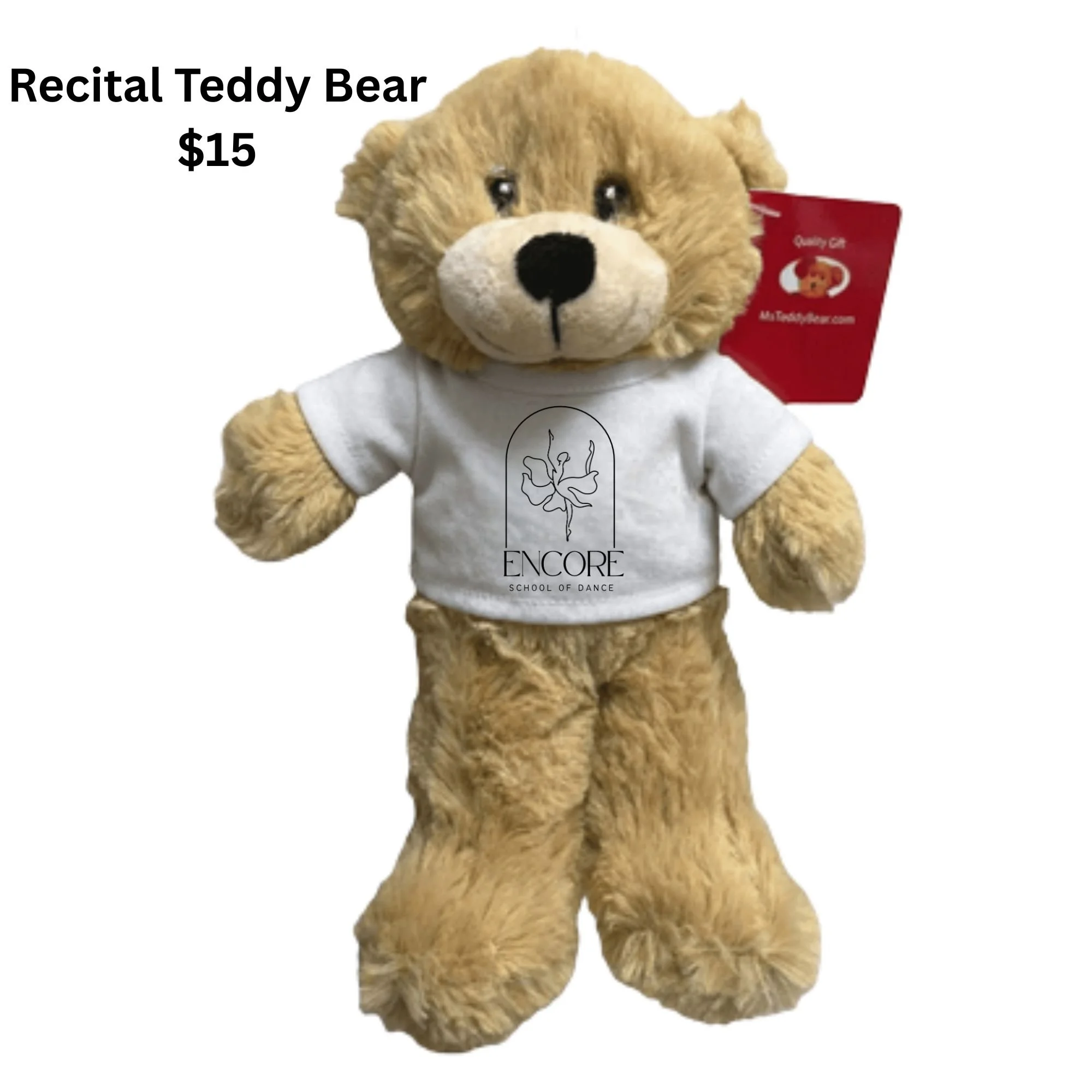 Merch Postings 1- Teddy Bear Only.jpg
