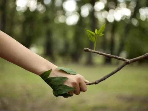 The Nervous System and Grounding with Nature