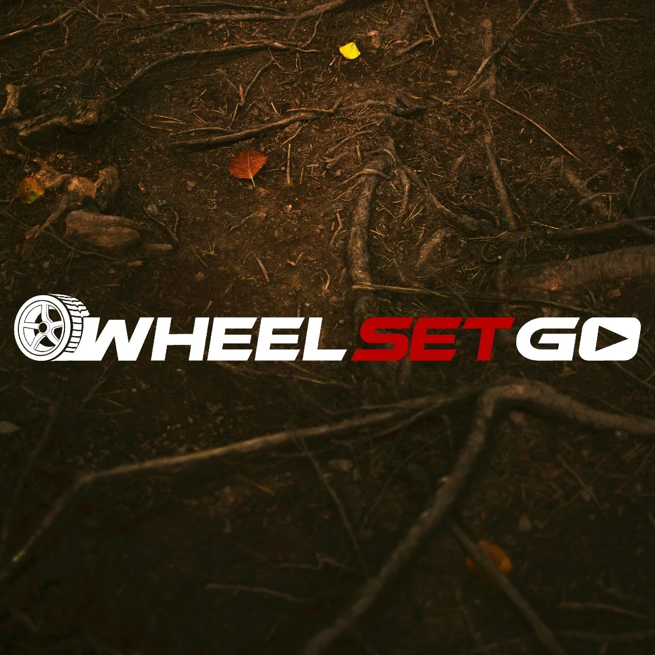 WheelSetGo.jpg