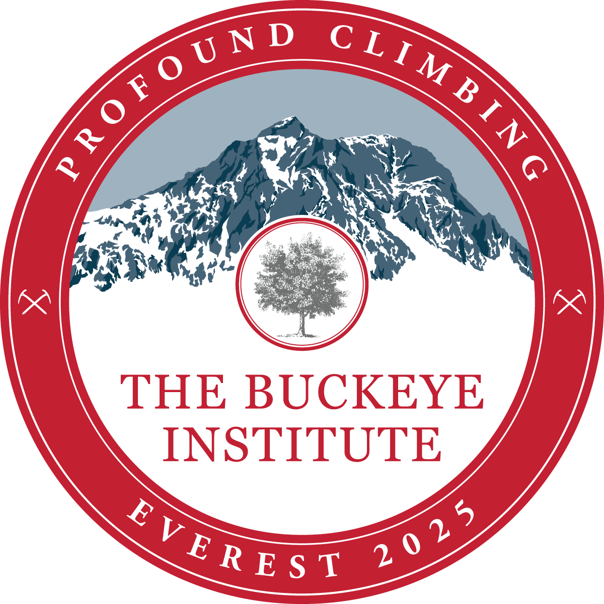 Everest Climbing Patch