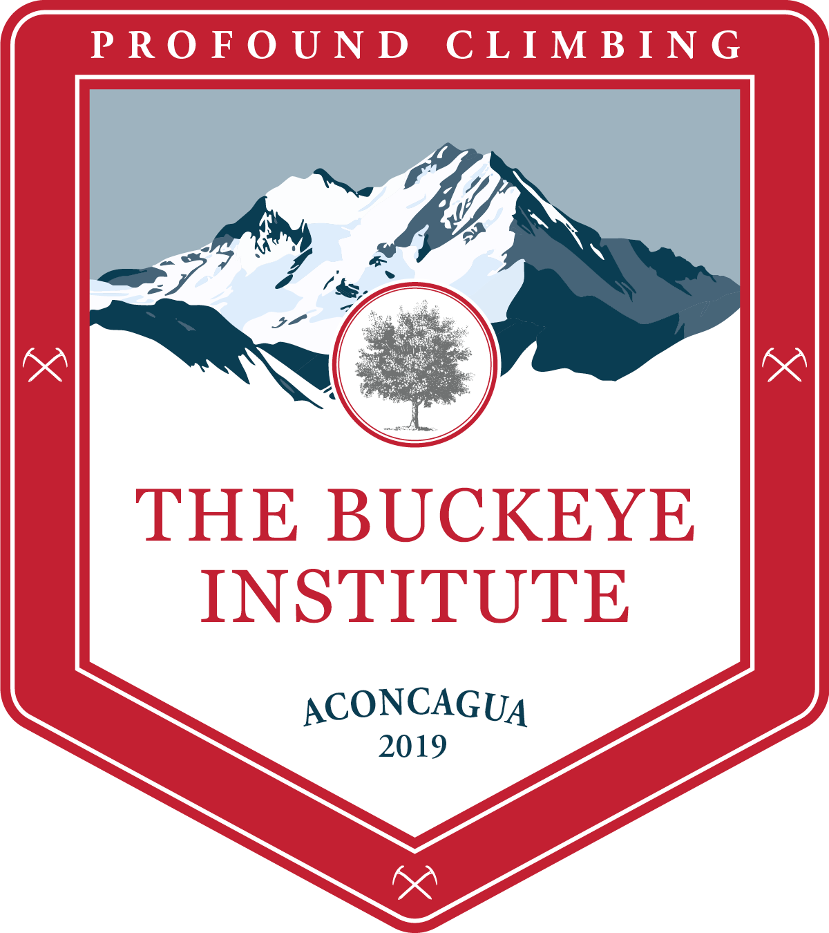 Aconcagua Climbing Patch