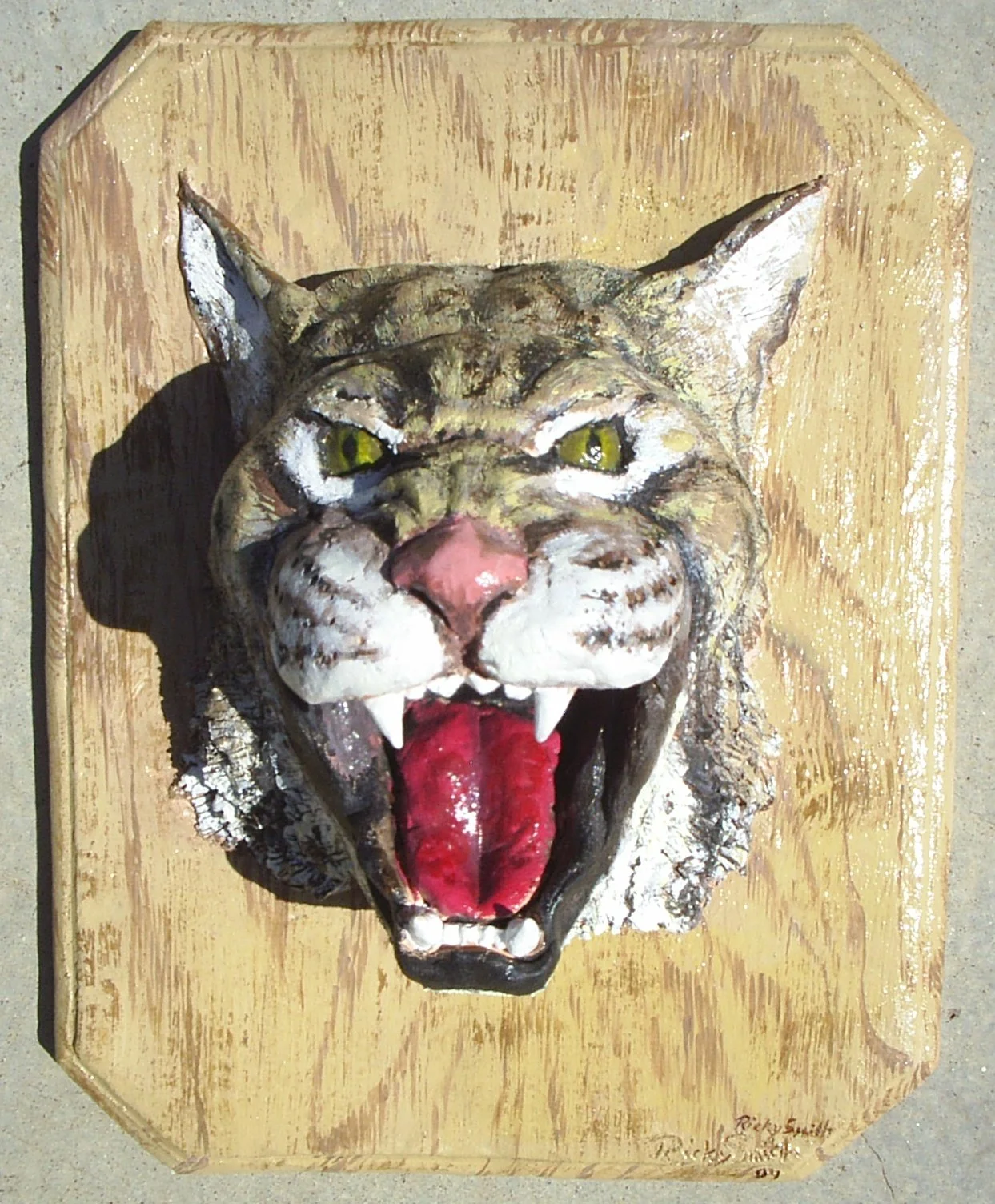 Wildcat (1).jpg