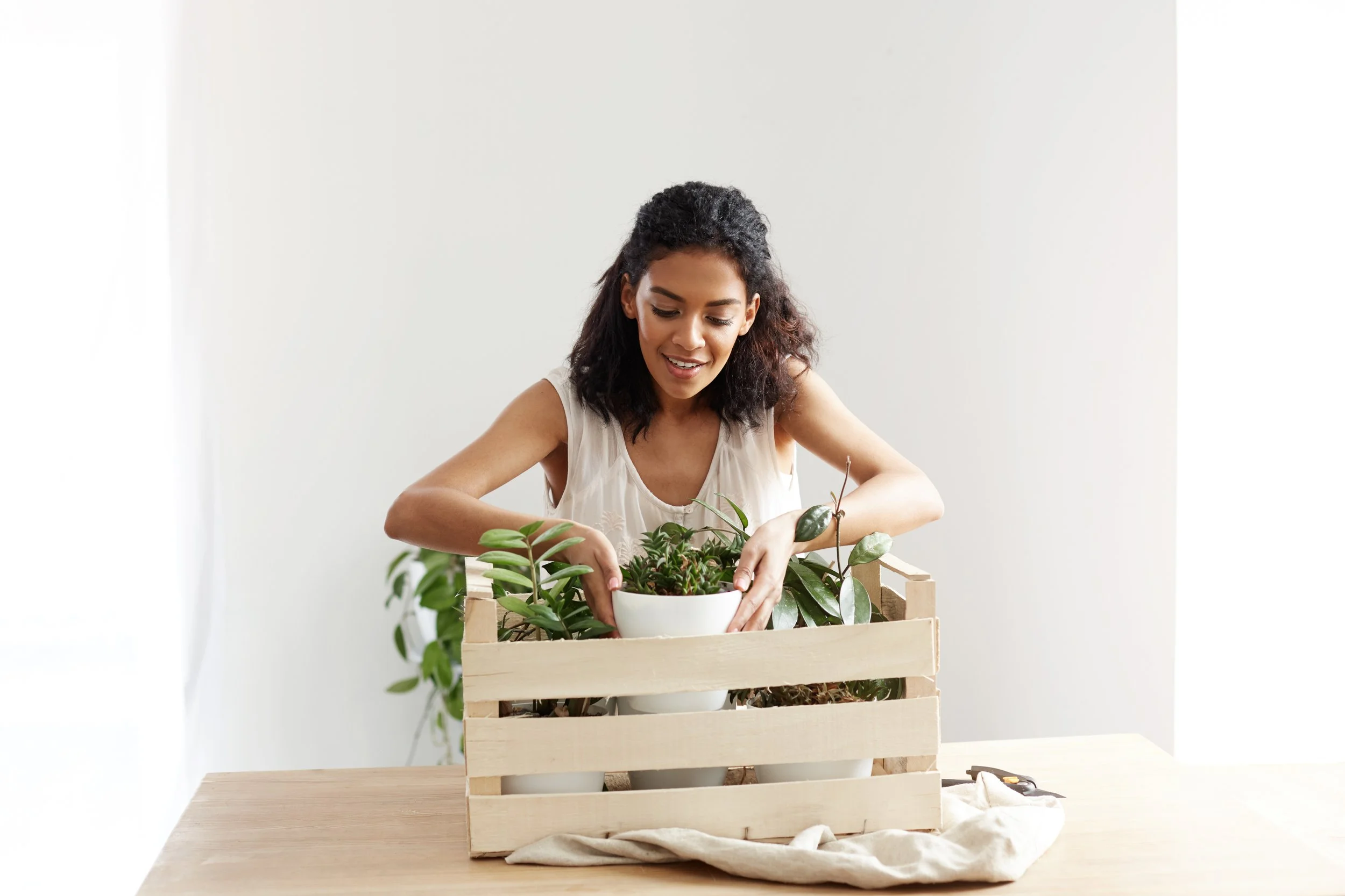 The Science of Green: Why Plants Make Us Feel Better