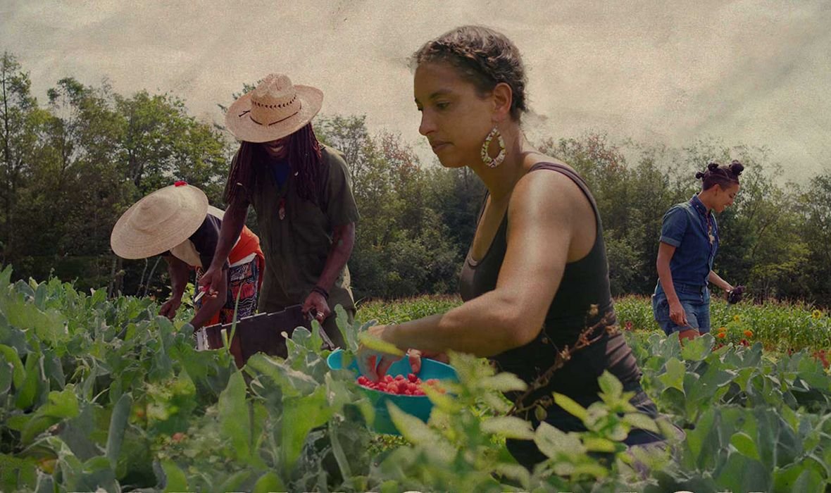 $17-$45 | Harvest Stories: A Community Retreat & Celebration of Collective Care